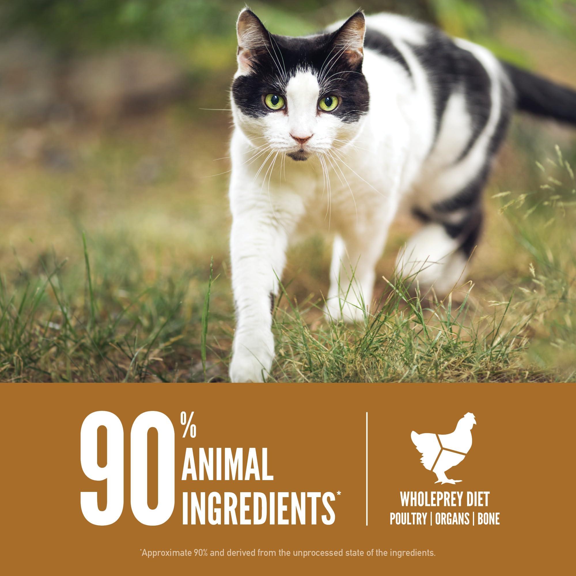 ORIJEN Original Cat, Grain Free Dry Cat Food for All Life Stages, with WholePrey Ingredients, 4lb - Image 5