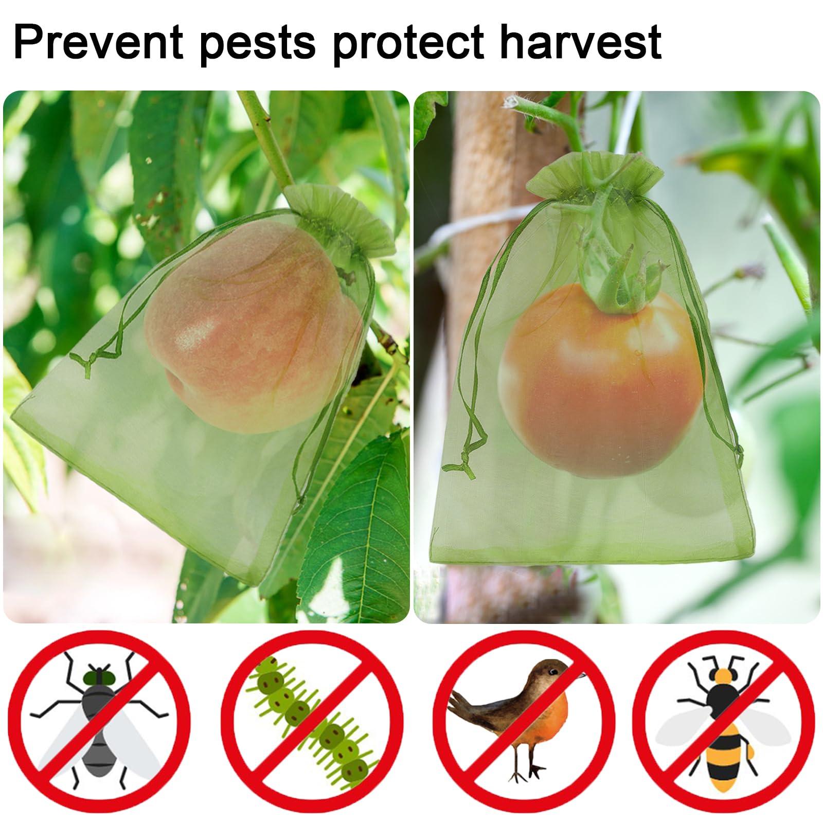Uigidori 100 Pcs Fruit Protection Bags, 6.5 x 9 Inch Green Netting Cover Bags with Drawstring, Pest Barrier for Trees, Garden Fruit Cover Mesh Bag for Plant Vegetables and Flowers - Image 5