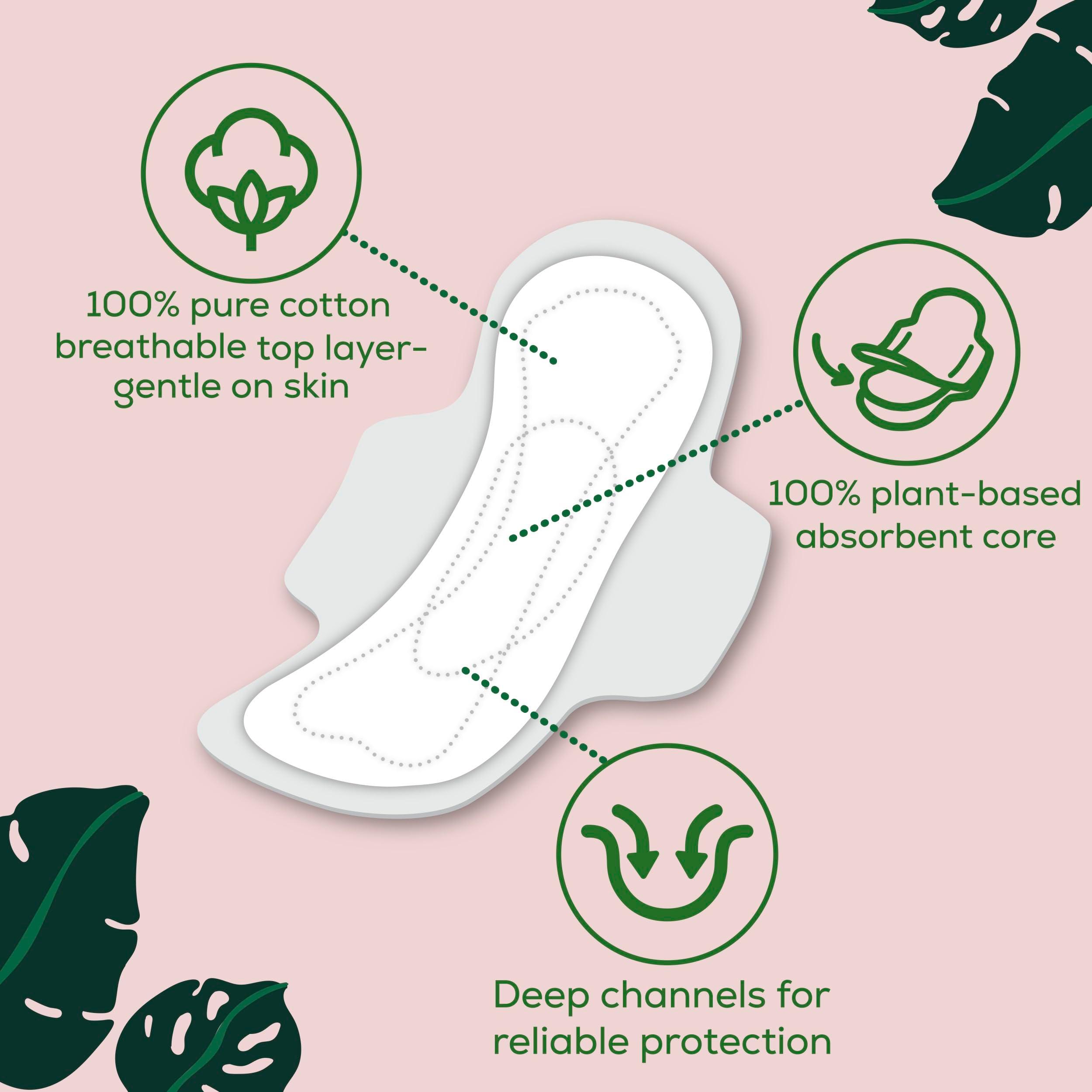 L. Ultra Thin Pads for Women, Super Absorbency, 100% Pure Cotton Top Layer, Unscented Pads with Wings, 56 Count Total - Image 2