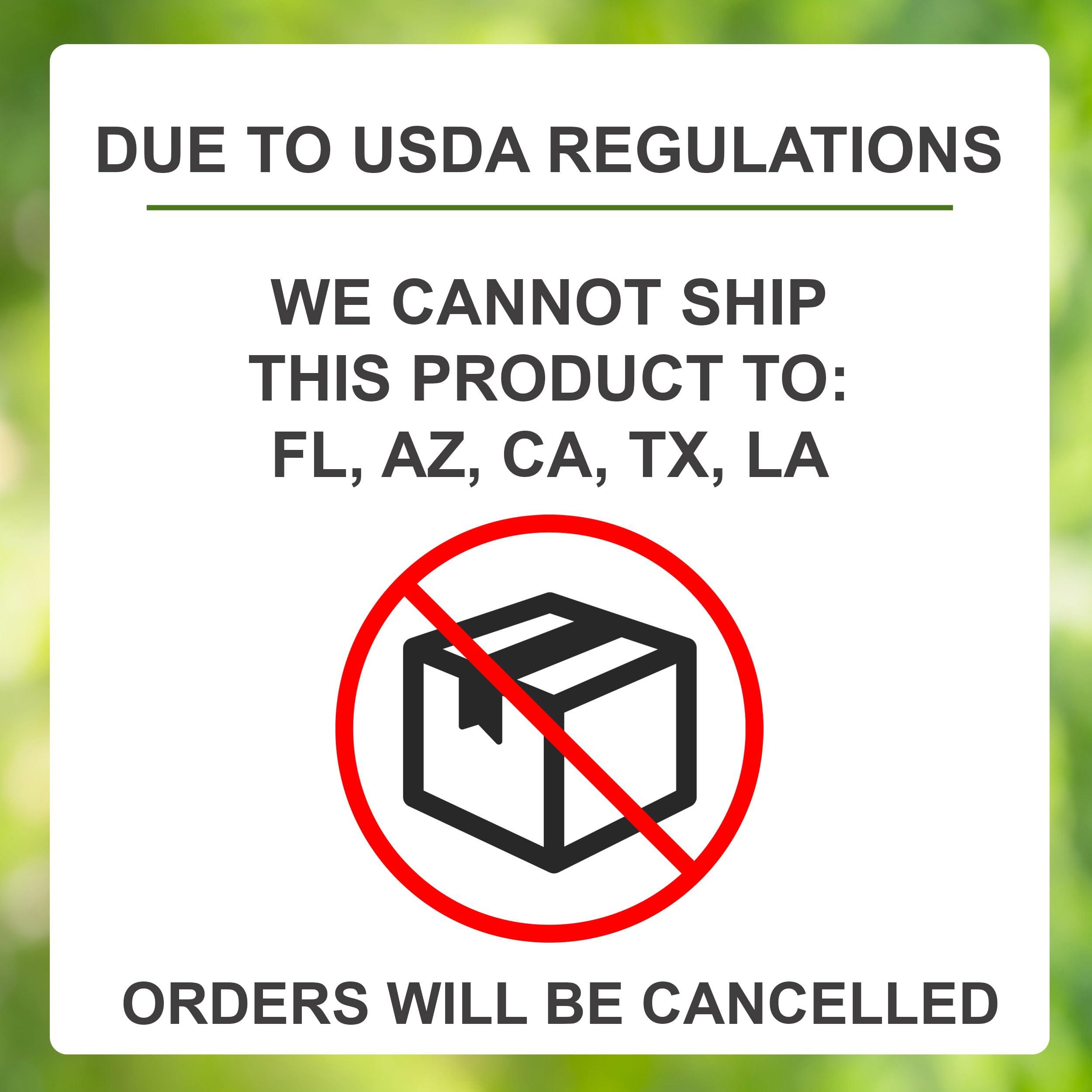 Garden State Bulb Meyer Lemon Tree, Citrus Live Plant (1 Gallon Growers Pot) Cannot Ship FL, AZ, CA, TX, LA - Image 5