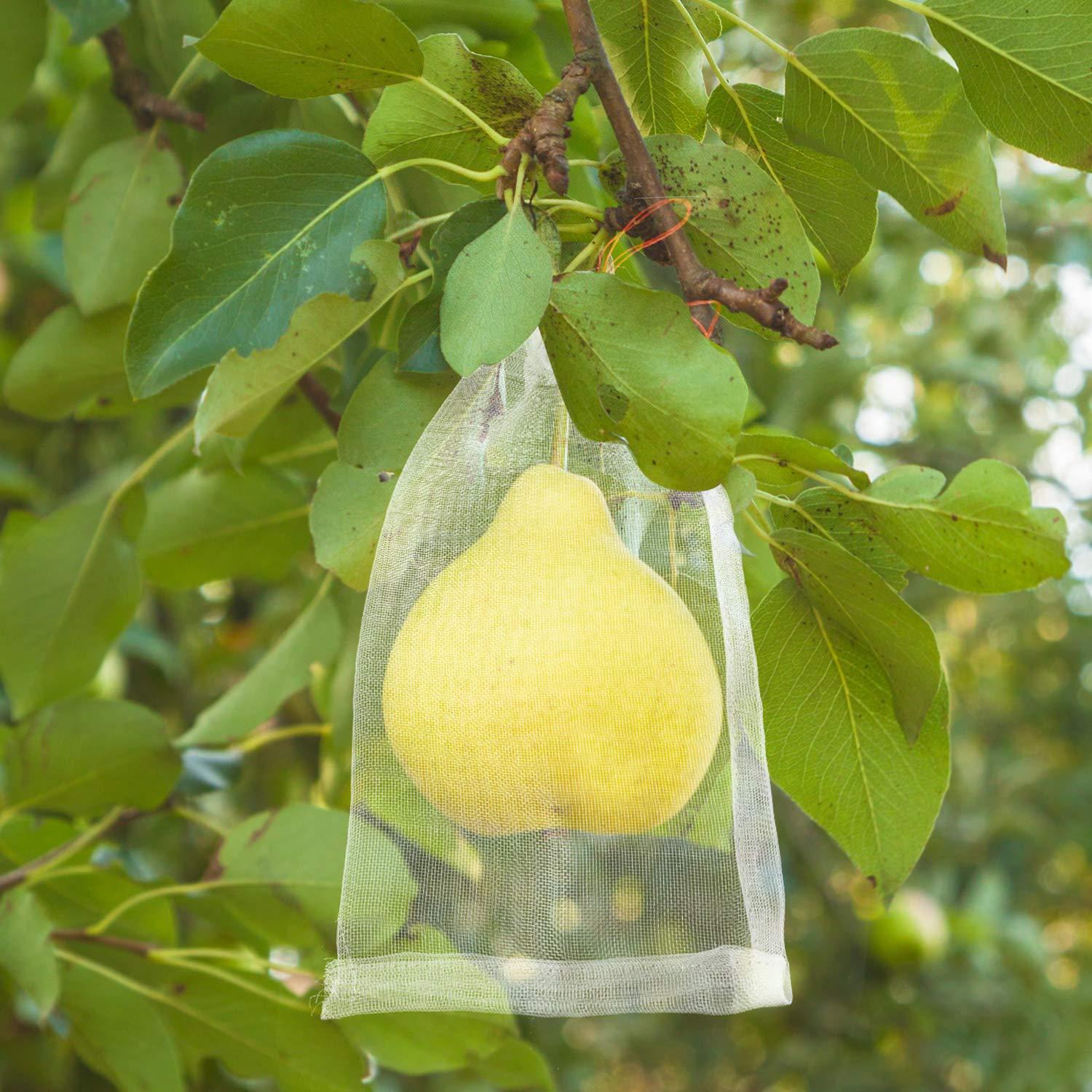 120 Pieces 6 x 10 Inch Fruit Protection Bags, Garden Nylon Mesh Fruit Bag Bird Net Barrier Bag Garden Plant Flower Fruit Protect Bag - Image 6