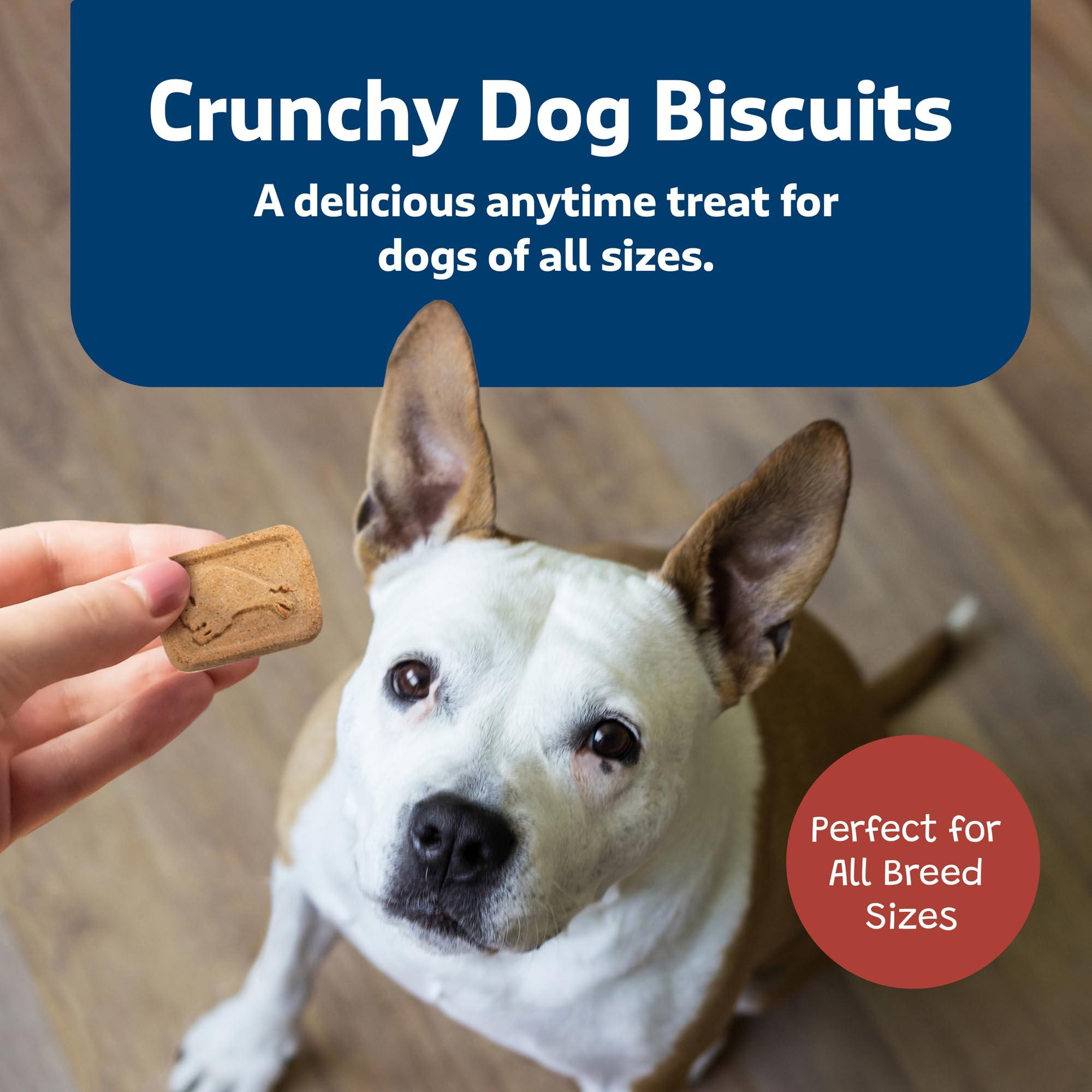 Blue Buffalo Health Bars Crunchy Dog Biscuits, Oven-Baked With Natural Ingredients, Bacon, Egg & Cheese , 16-oz Bag - Image 5