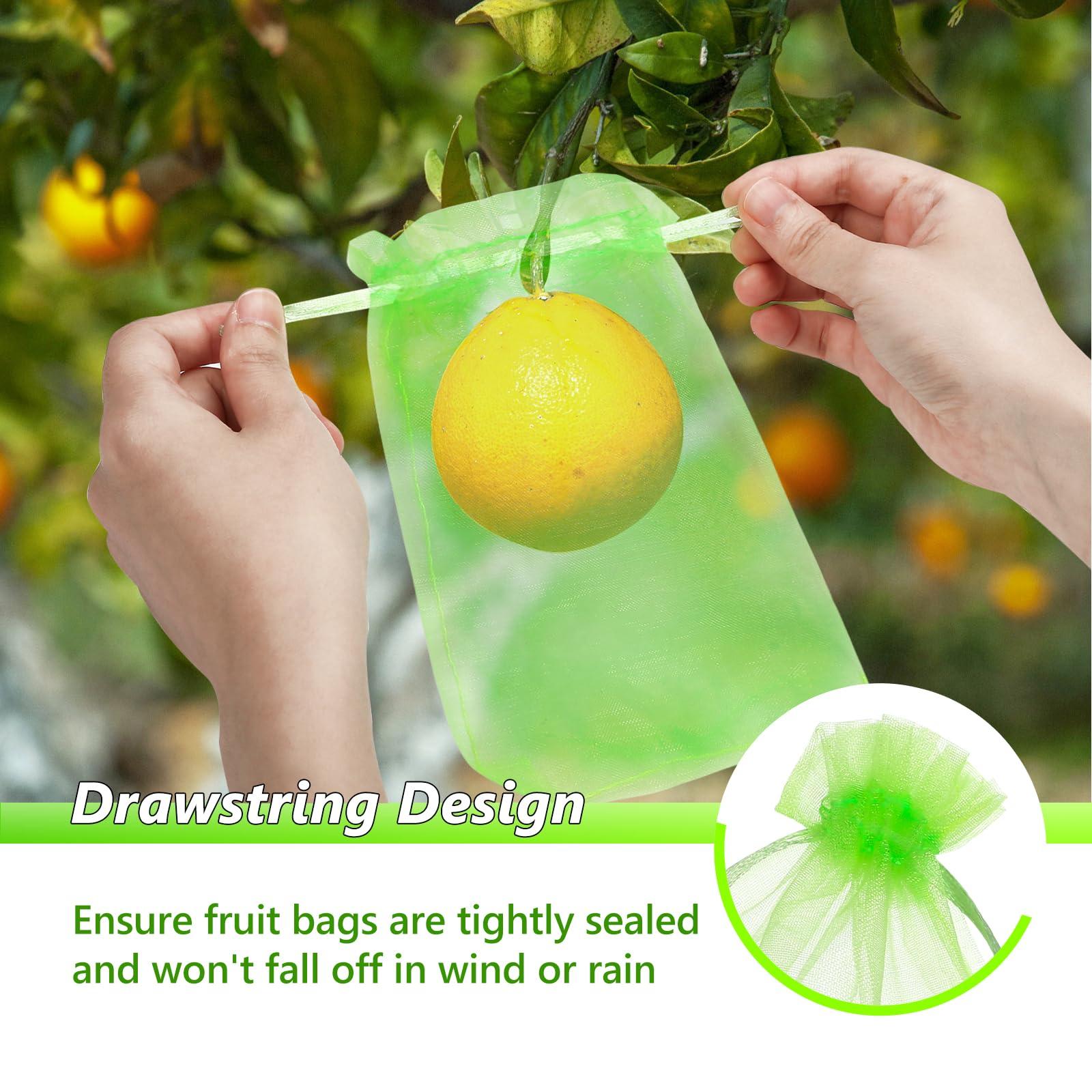 GWHOLE 50pcs 6x8 Inch Fruit Protection Bags, Fruit Cover Mesh Bags with Drawstring Fruit Tree Netting for Grape Melon Veggies Garden - Image 4