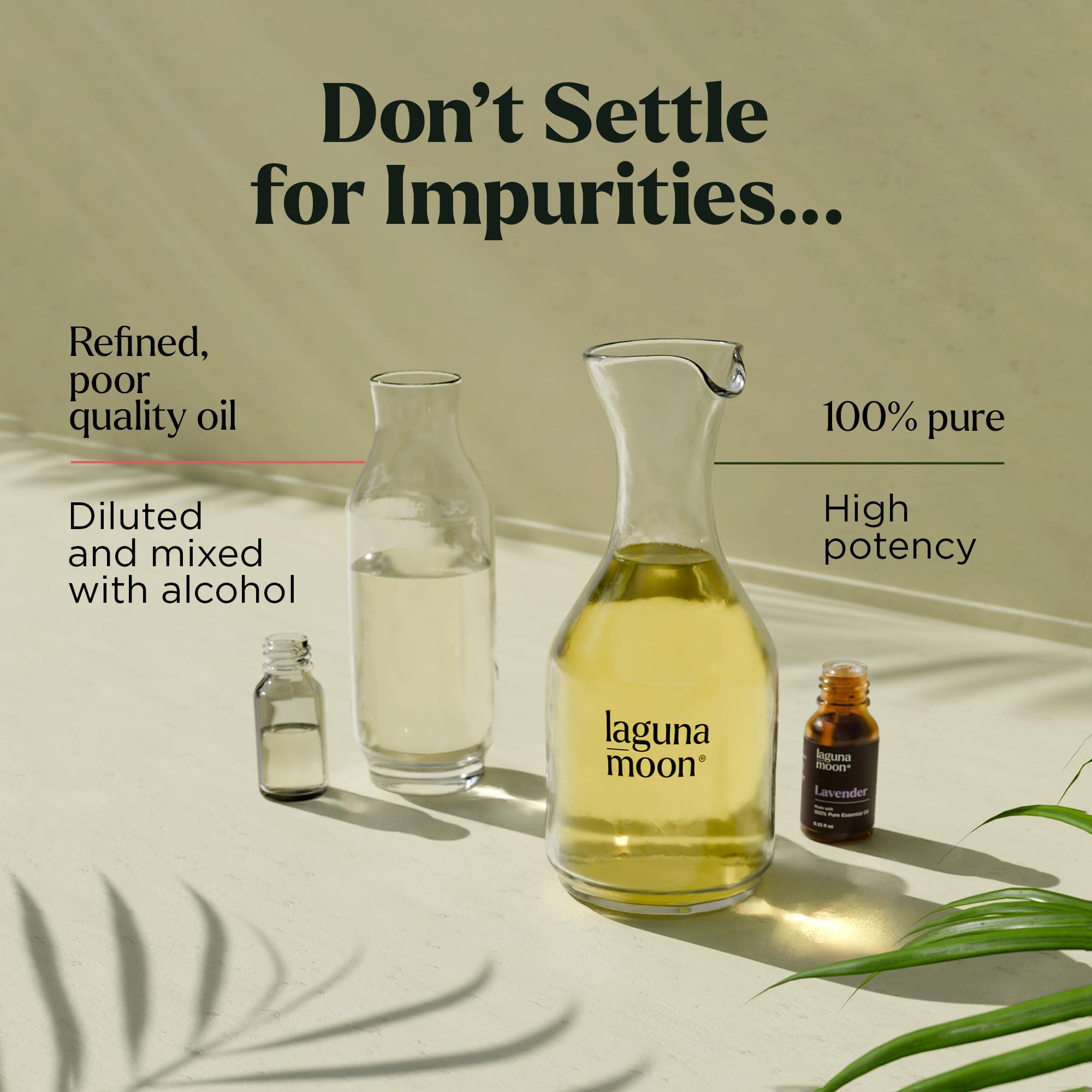 Essential Oils Set - Top 6 Blends for Diffusers, Home Care, Candle Making Scents, Fragrance, Aromatherapy, Humidifiers, Gifts - Peppermint, Tea Tree, Lavender, Eucalyptus, Lemongrass, Orange (10mL) - Image 6