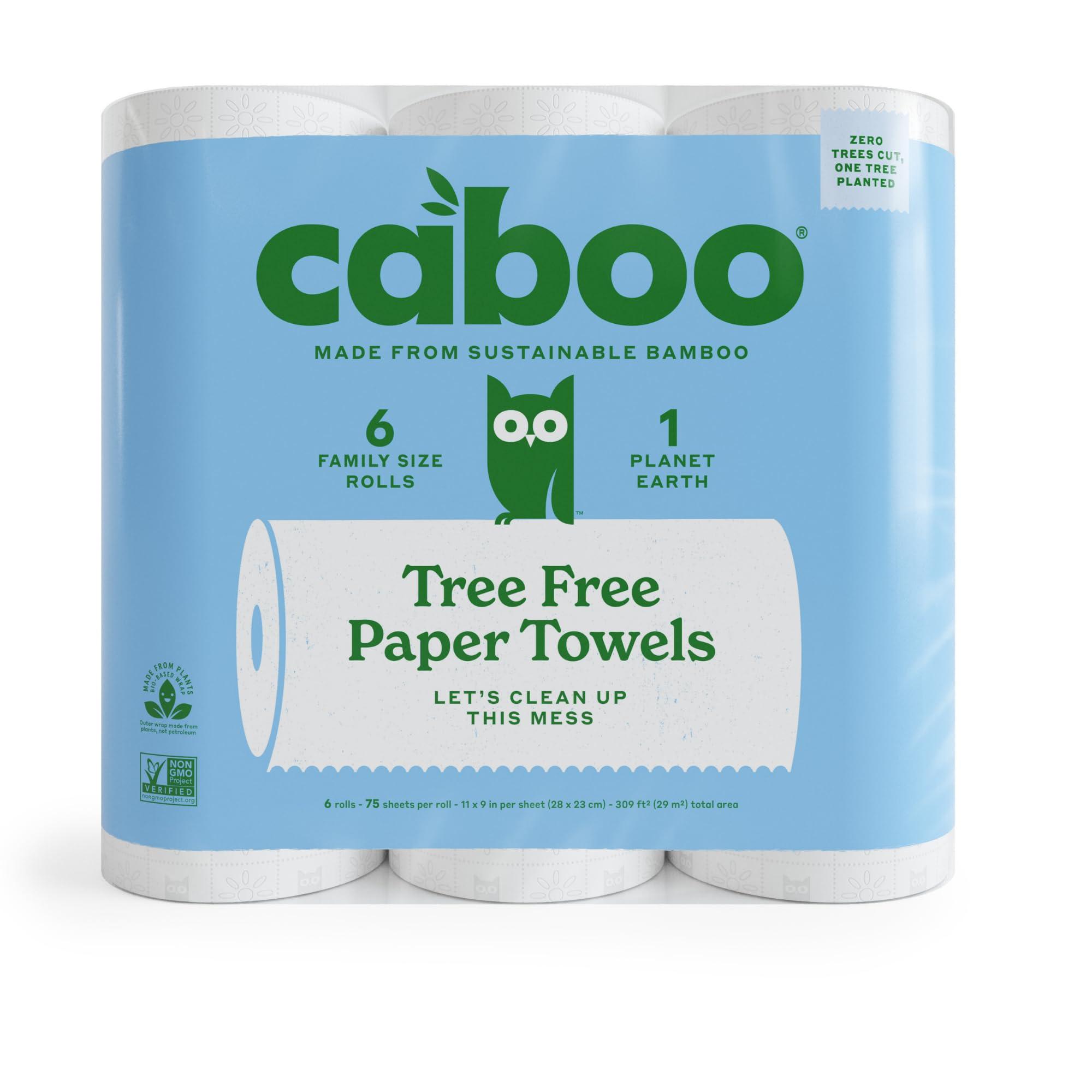 Caboo Tree Free Paper Towels, 6 Rolls, Eco Friendly, Earth Friendly, Sustainable Kitchen Paper Towels with Strong 2 Ply Sheets
