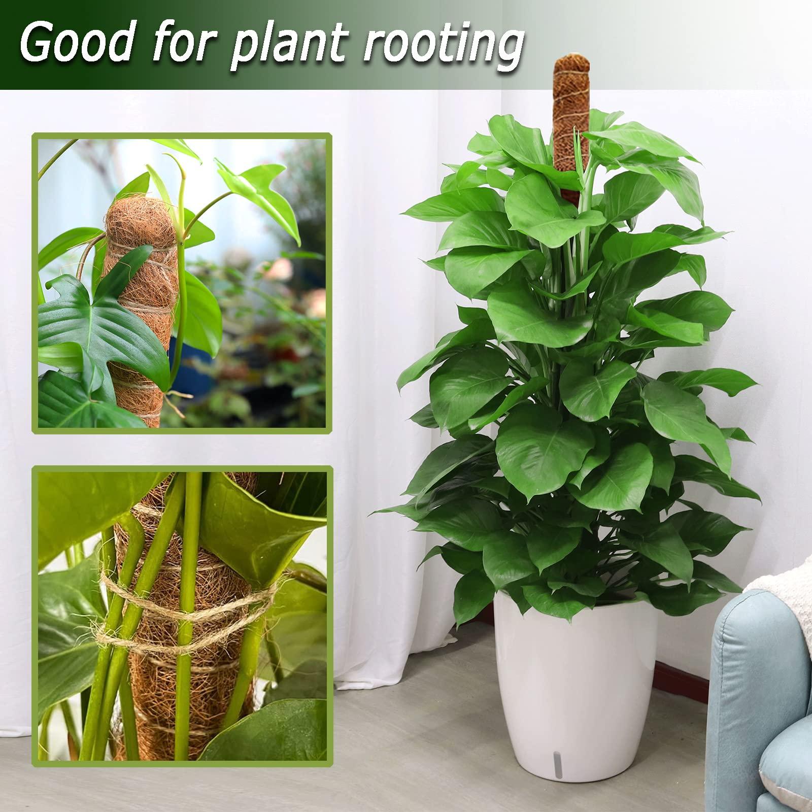 2 Pack Moss Pole, 28 Inch Bendable Moss Pole for Plants Monstera, Moss Poles for Climbing Plants Indoor, Coir Plant Pole Sticks Support Stakes for Potted Plant, Pothos, Philodendron - Image 4