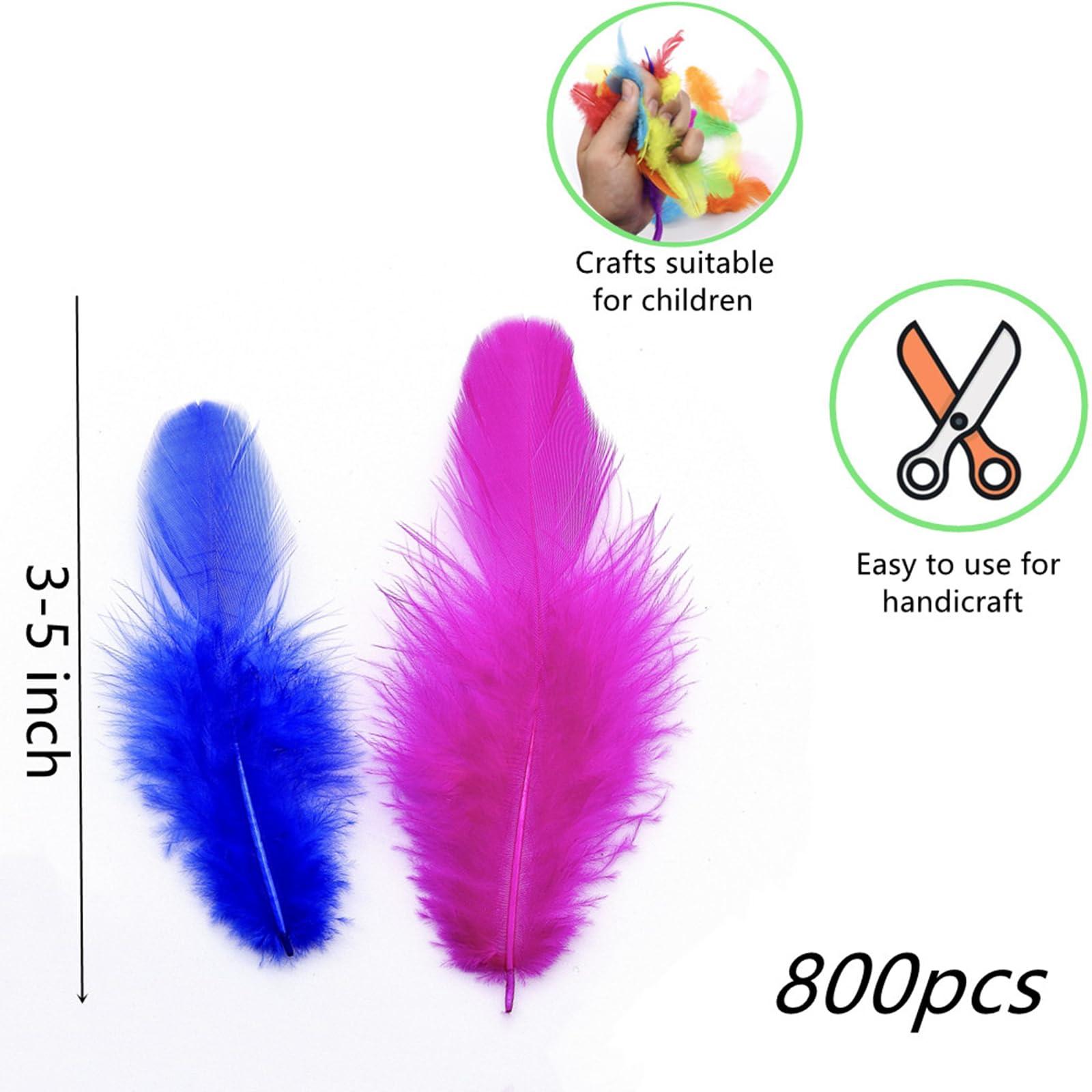 800Pcs Colorful Craft Rooster Feathers 3-5-inch Bulk Feathers for Crafting Kindergarten DIY Crafts, Wedding, Family Party Decorations, Dream Catcher Supplies, Natural Feathers - Image 3