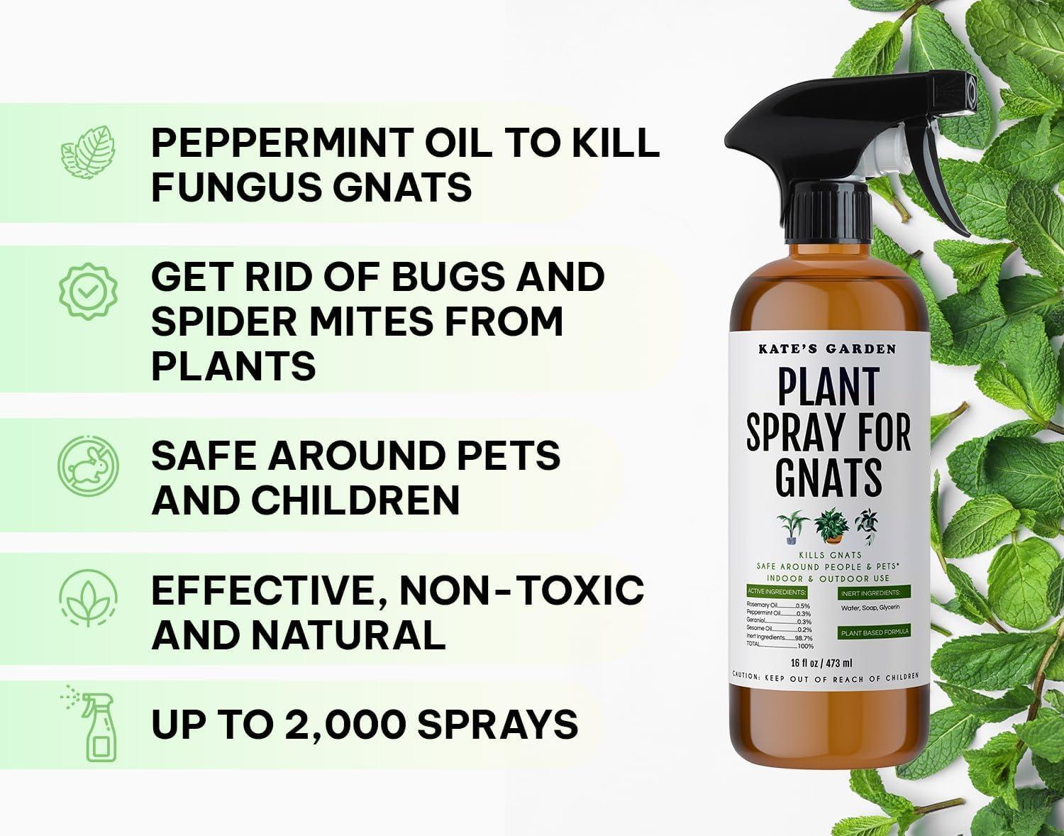 Kate's Garden Plant Spray for Insects & Getting Rid of Gnats. Fungus Gnat Killer & Bug Spray for Indoor Plants (16oz, Pet Safe, Non Toxic) - Image 2