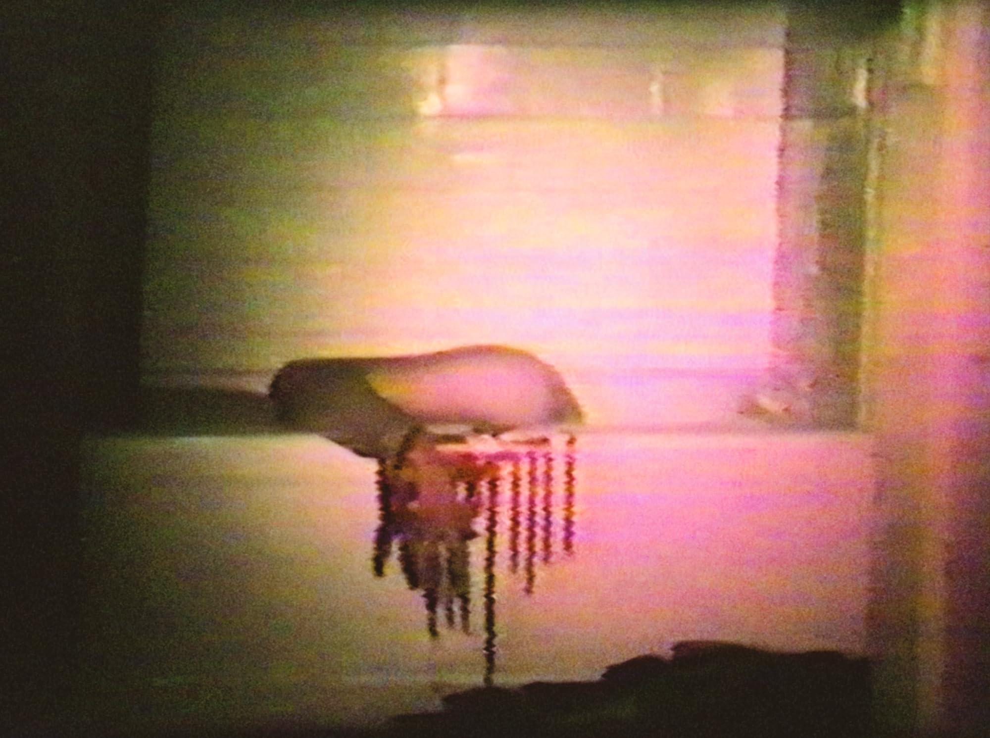 Cannibal Orgy and the Films of J.T. IV - Image 4