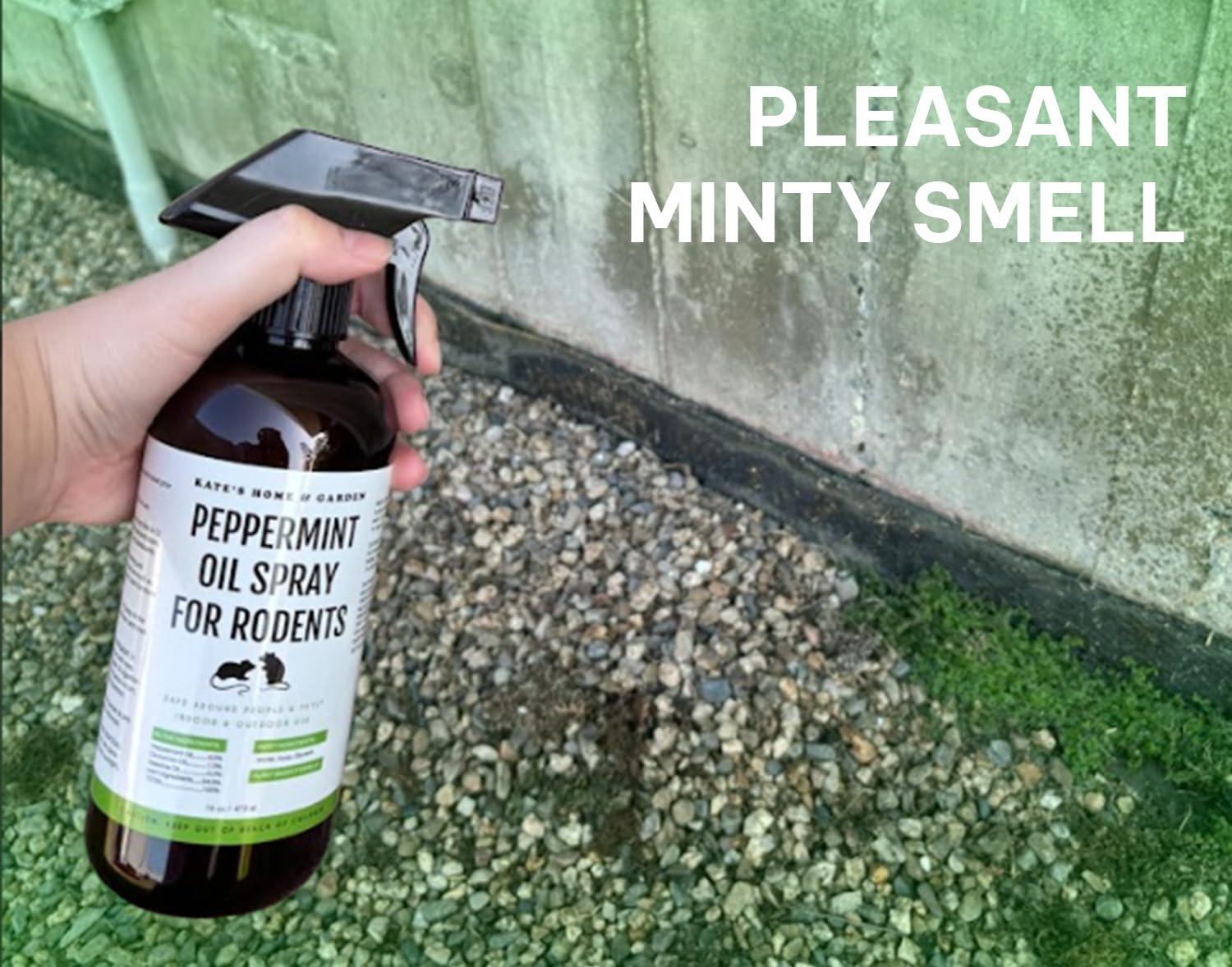 Kate Naturals Peppermint Oil Spray for Rodents, Mouse (16oz, Pet Safe). Rodent Repellent Outdoor for Car Engines, Mice, Rat, Bat, House, Plants, Attic, Basement - Image 4