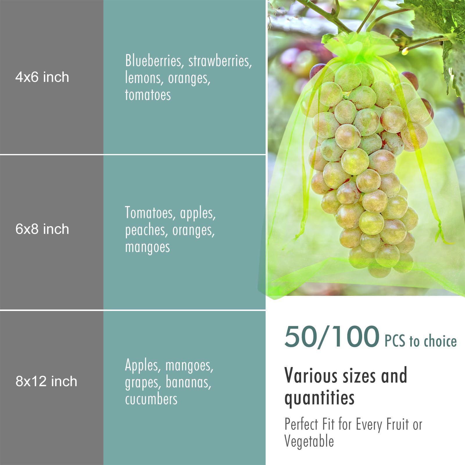 Fruit Protection Bags, Fetanten 50 PCS 6 x 8 Inch Mesh Drawstring Bag for Fruit Trees, Small Green Garden Fruit Plant Netting Cover Bag Protect Blueberry Tomato Apple Mango from Bird Insect Pest - Image 3