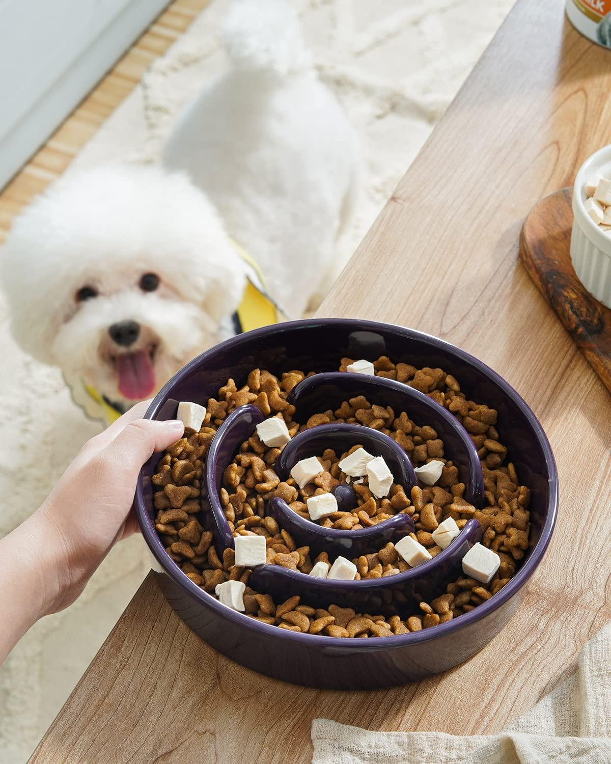 LE TAUCI Dog Bowls Slow Feeder Ceramic, 1.5 Cup Slow Feeding Bowl for Small and Medium Breed, Puzzle Dog Food Bowl for Fast Eater, Maze Purple - Image 2