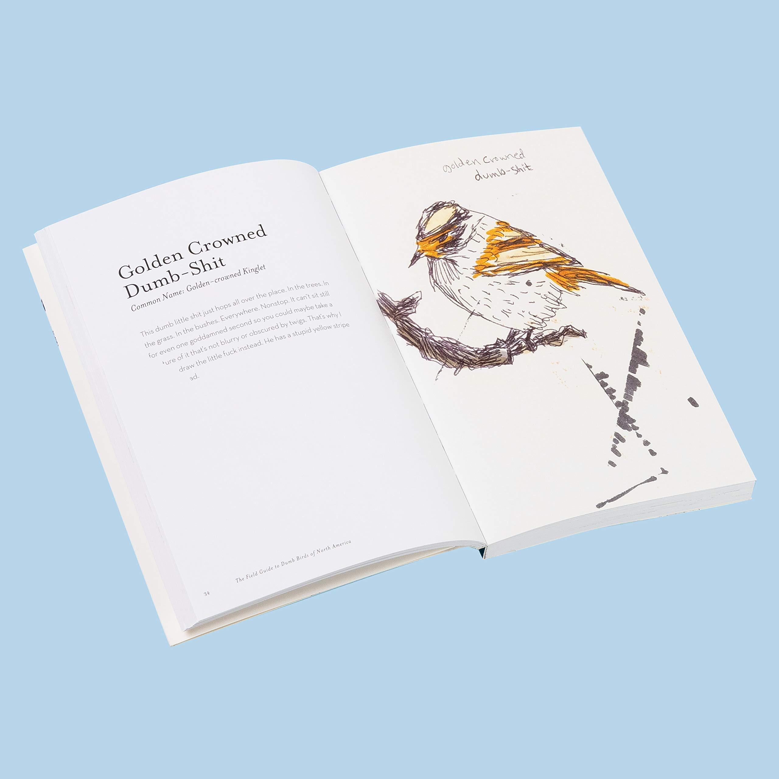 The Field Guide to Dumb Birds of North America (Bird Books, Books for Bird Lovers, Humor Books) - Image 7