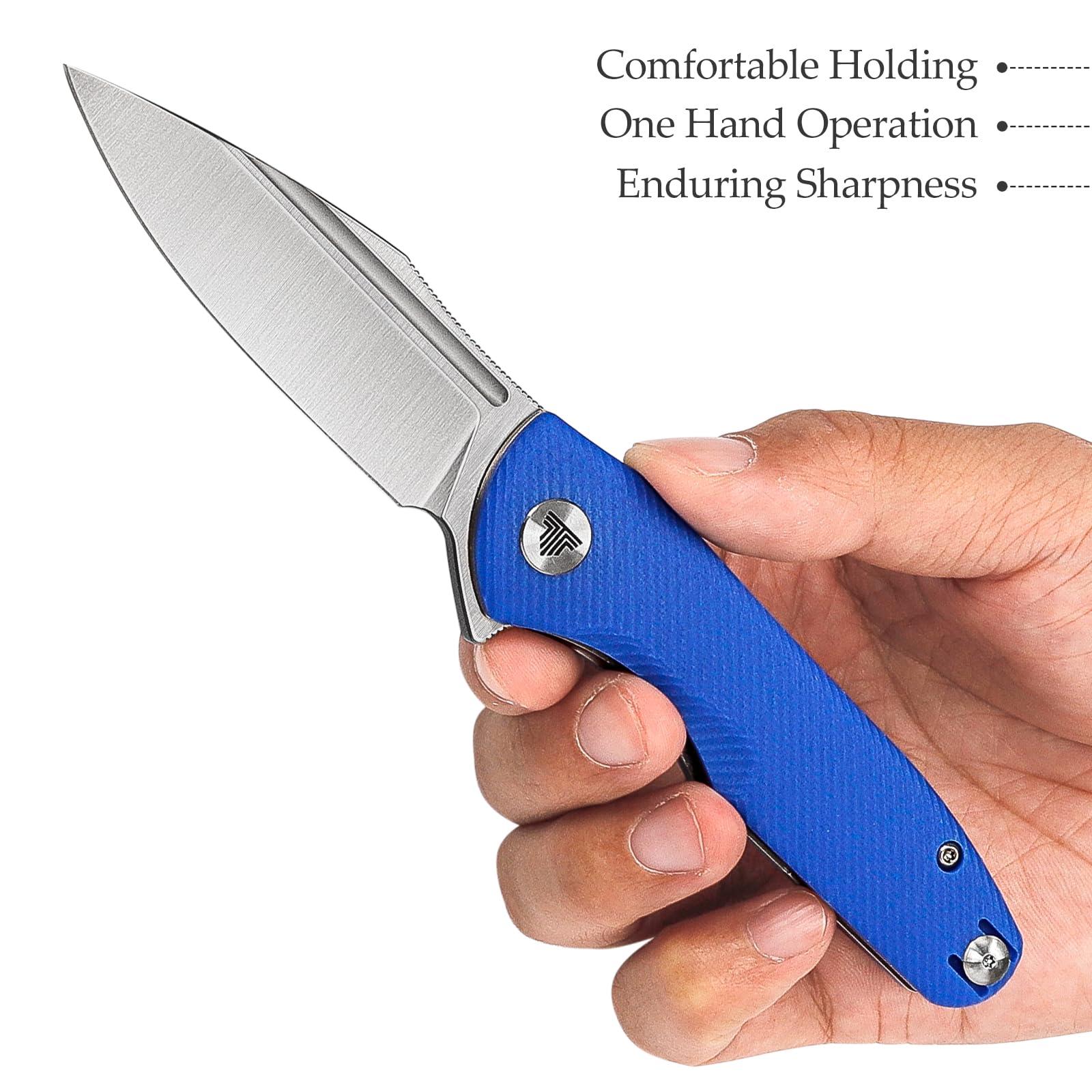 TRIVISA Flipper Knives，Pocke EDC Knife with Clip，Folding Knife for Men，3.26" 14C28N Steel Blade（Satin），G10 Scales for Outdoor Camping Tool - Antliae-03LG - Image 5