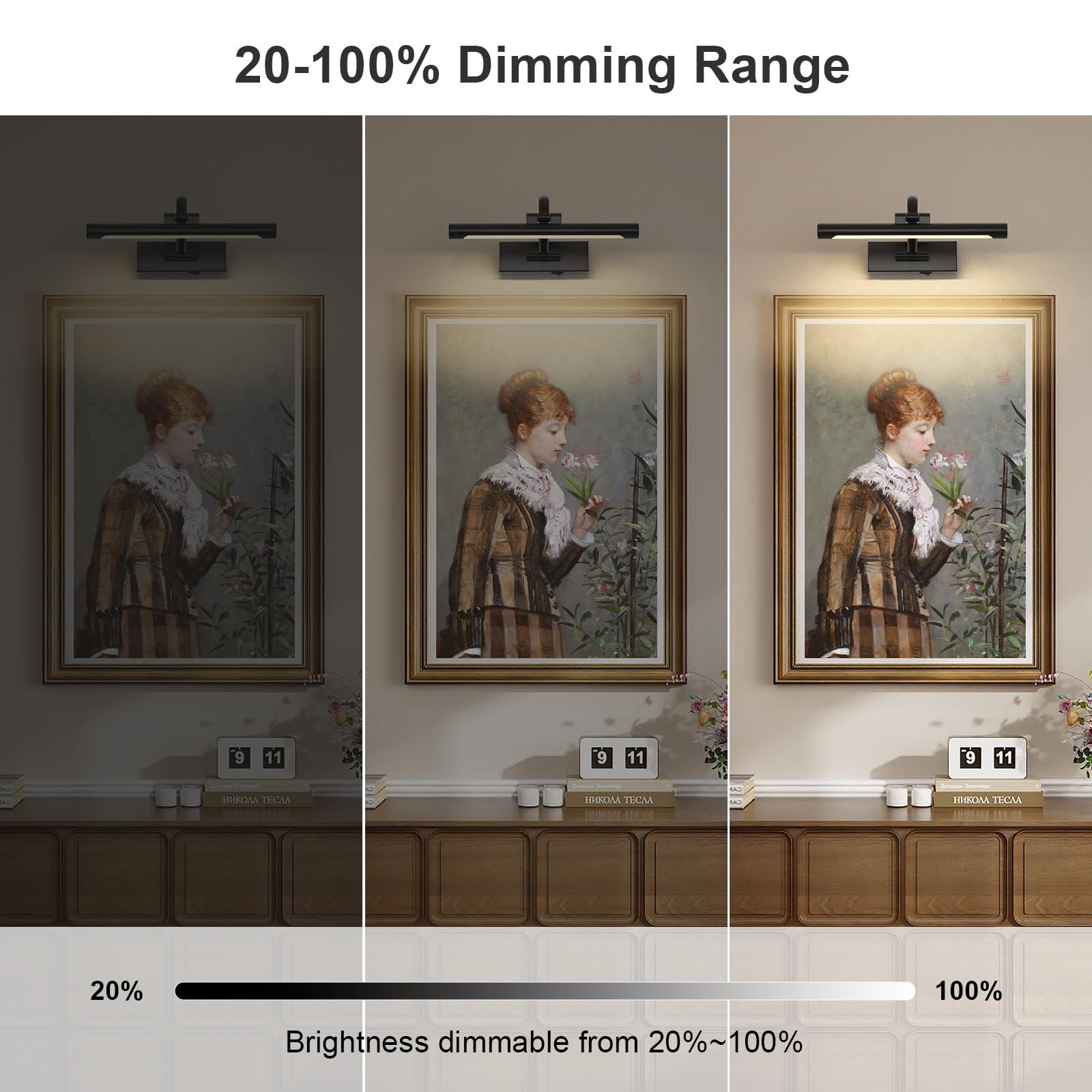 DESOOP Battery Operated Picture Lights for Wall Black Art Light Wireless Gallery Lights with Timer and Remote 12 Inch 2W Warm White - Image 2