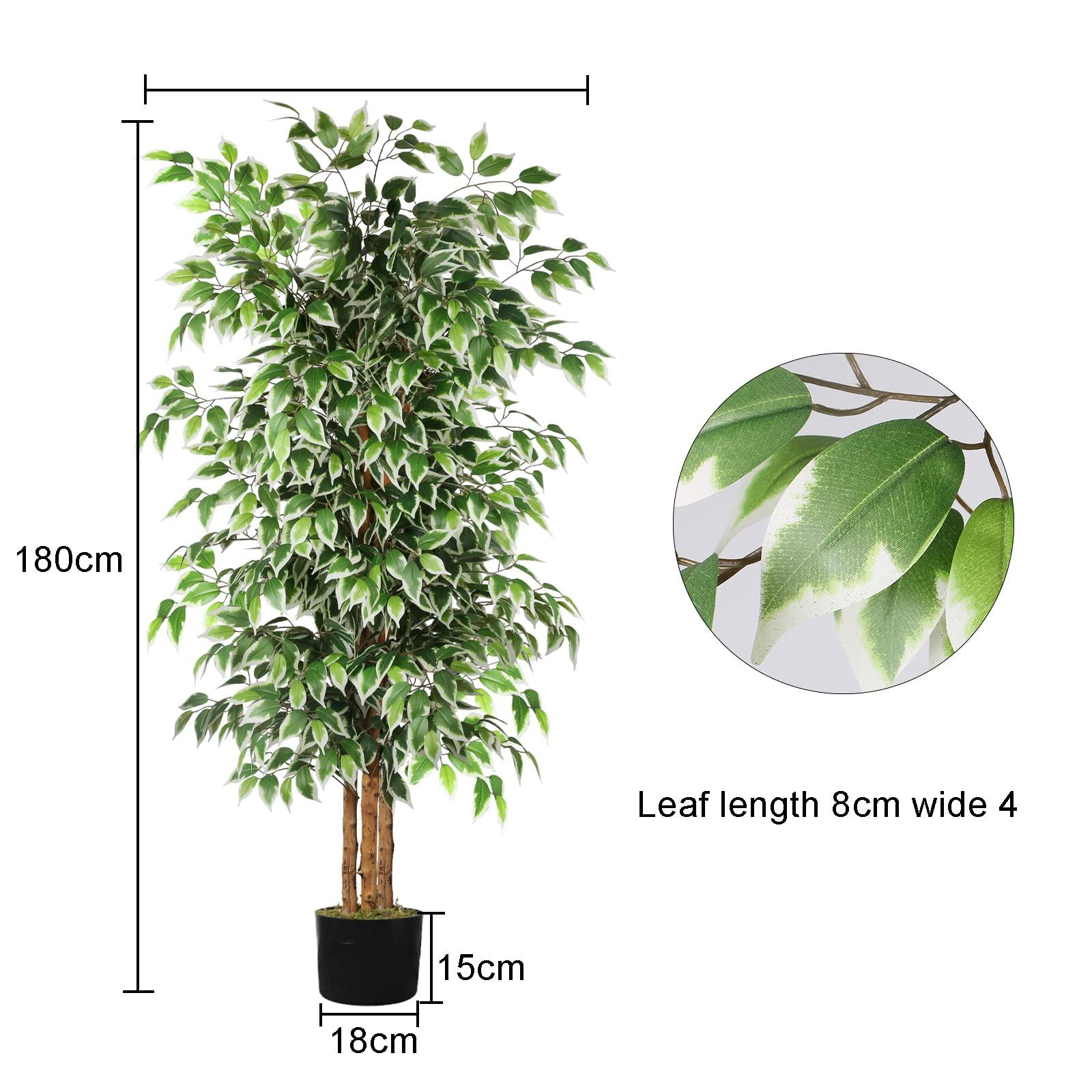 GTIDEA 6ft Artificial Tree Ficus, Tall Faux Trees Indoor with Natural Trunk and Fake Silk Tree Fake Plants for Home Spring Decor Living Room Outdoor Balcony House Office (Included Dried Moss) - Image 3