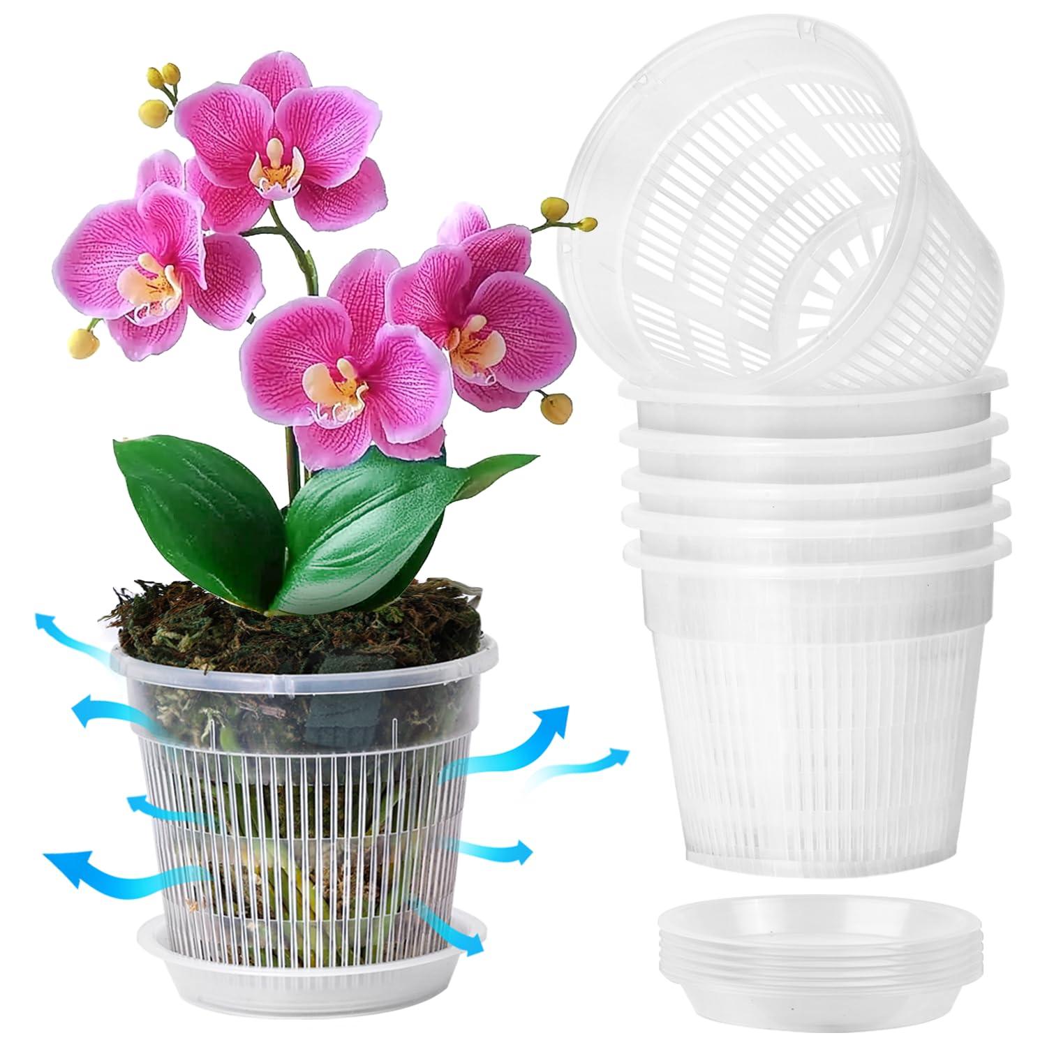 T4U Orchid Pot, 6 Pack 6.3 Inch Orchid Pots with Holes and Saucers, Clear Orchid Pots for Repotting, Plastic Flower Plant Pot for Indoor Outdoor Plants, Slotted Orchids Planter for Root Health