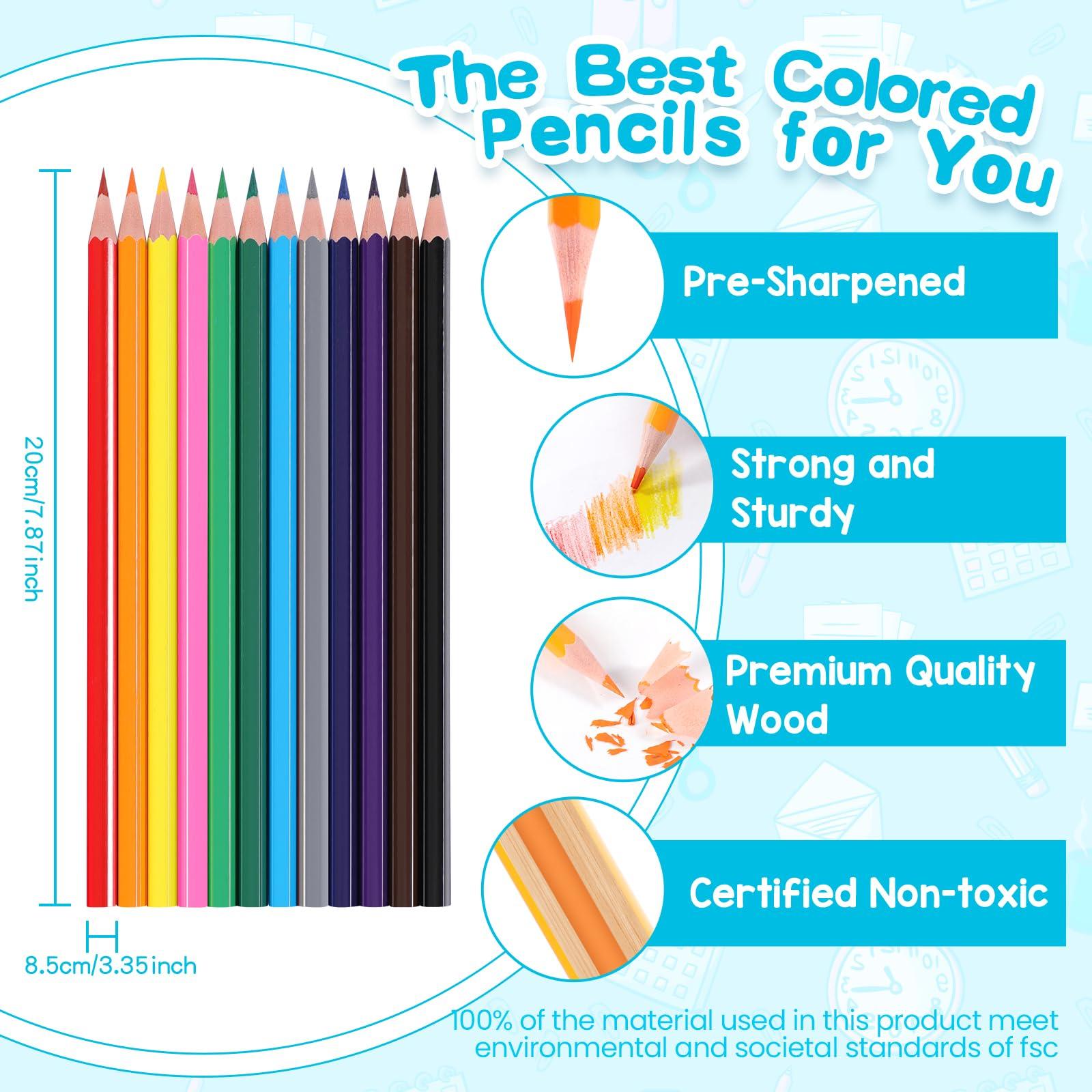 480 Count Colored Pencils Bulk, 40 Packs Colored Pencils for Kids 12 Colors, Pre-sharpened Coloring Pencils for Adults, Bulk School Supplies for Teachers, Back to School Supplies, Classroom Prizes - Image 4
