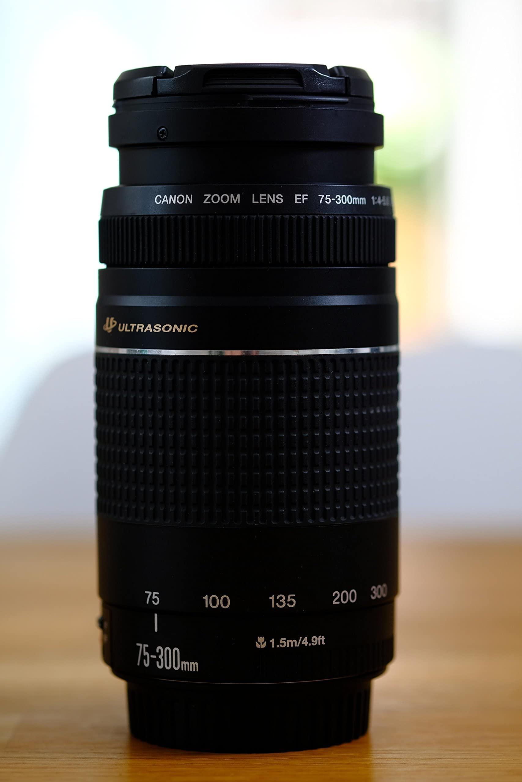 Canon EF 75-300mm f/4-5.6 III Telephoto Zoom Lens for Canon SLR Cameras - Image 2