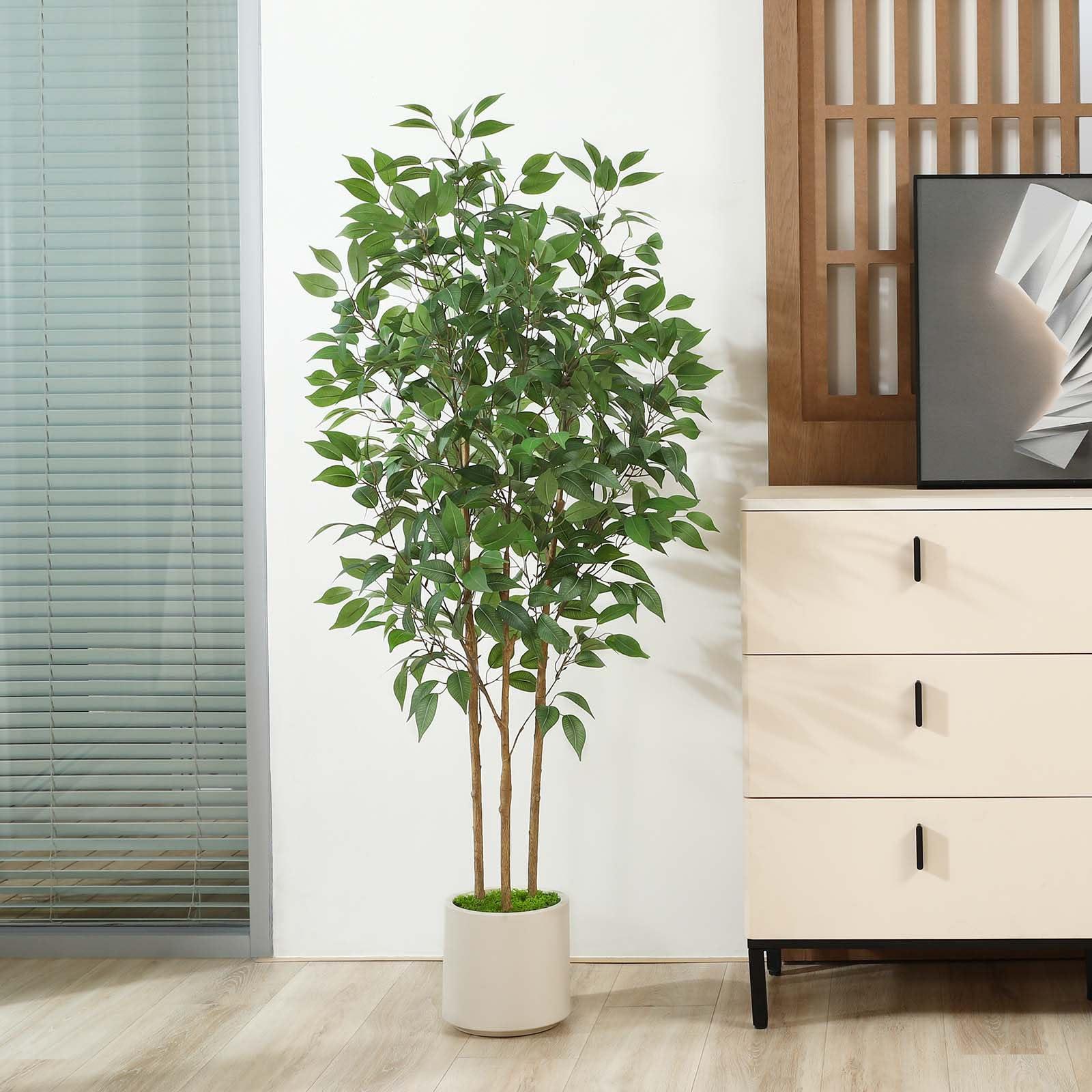 SOGUYI Ficus Artificial Tree 5ft Tall Fake Ficus Tree for Home Decor Indoor Faux Silk Ficus Plant Fake Floor Plant in White Imitation Ceramic Planter with Green Fake Moss, Set of 1 - Image 8