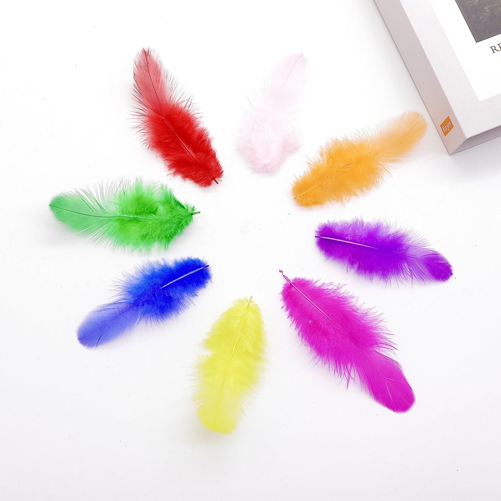 800Pcs Colorful Craft Rooster Feathers 3-5-inch Bulk Feathers for Crafting Kindergarten DIY Crafts, Wedding, Family Party Decorations, Dream Catcher Supplies, Natural Feathers - Image 7
