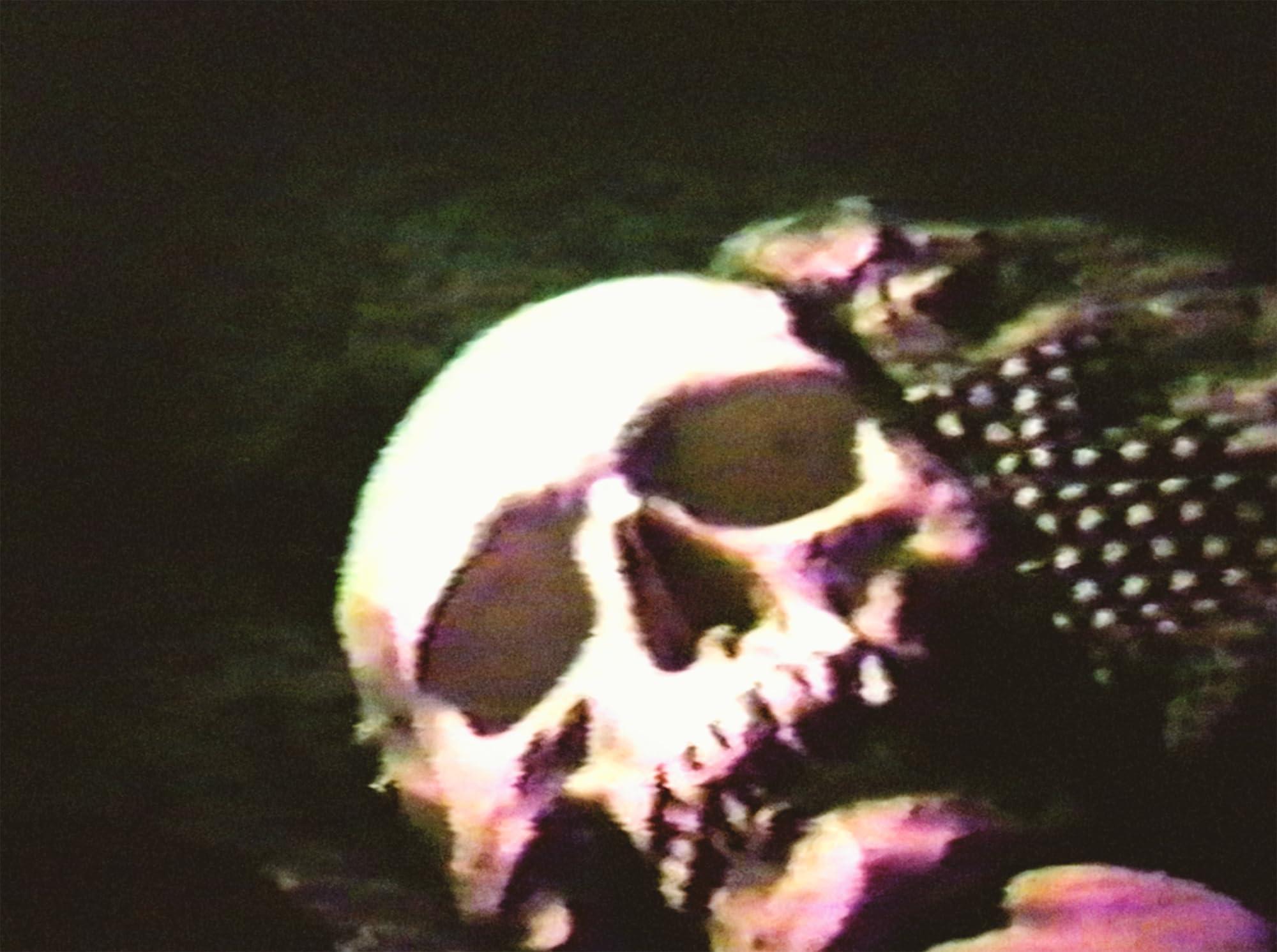 Cannibal Orgy and the Films of J.T. IV - Image 2