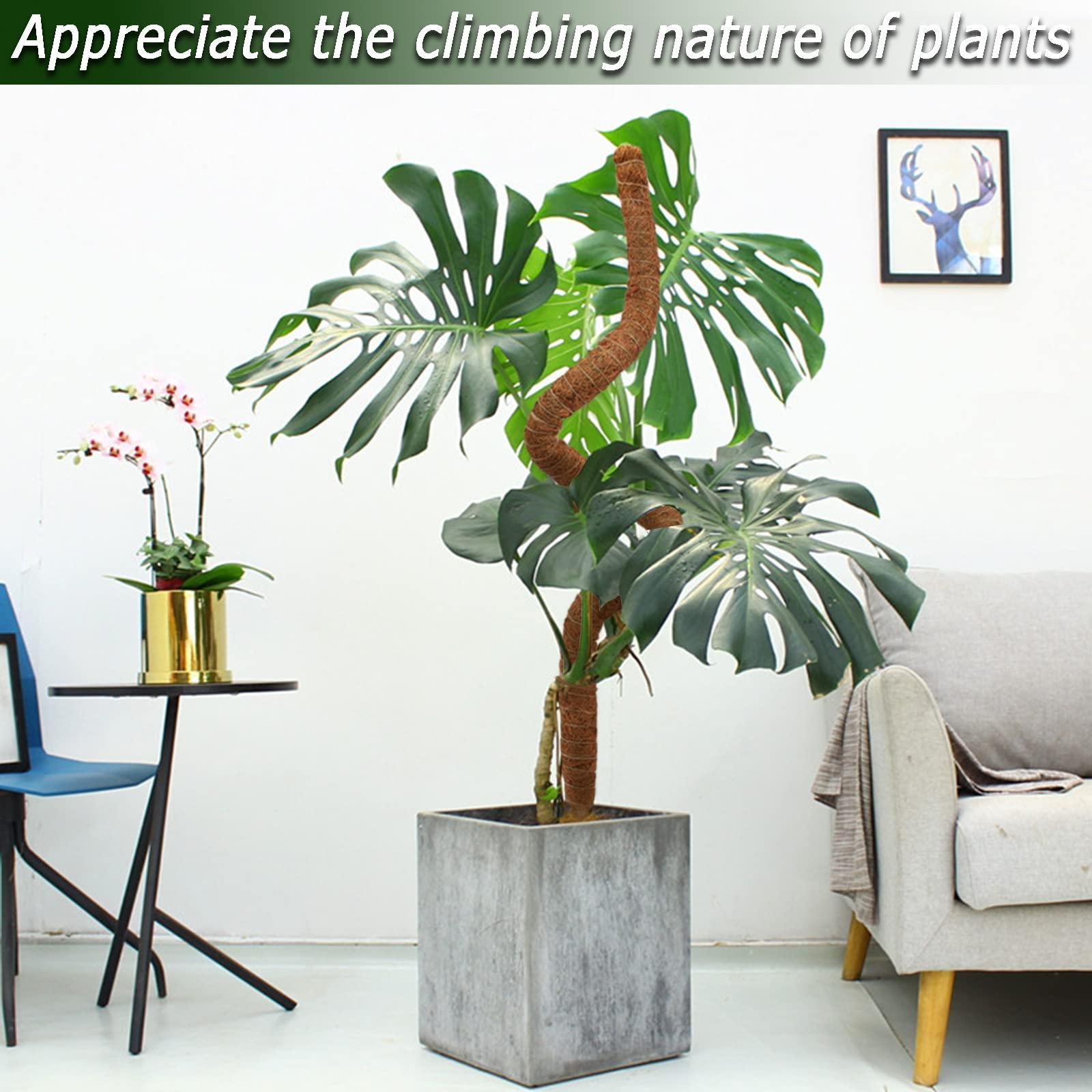 2 Pack Moss Pole, 28 Inch Bendable Moss Pole for Plants Monstera, Moss Poles for Climbing Plants Indoor, Coir Plant Pole Sticks Support Stakes for Potted Plant, Pothos, Philodendron - Image 8