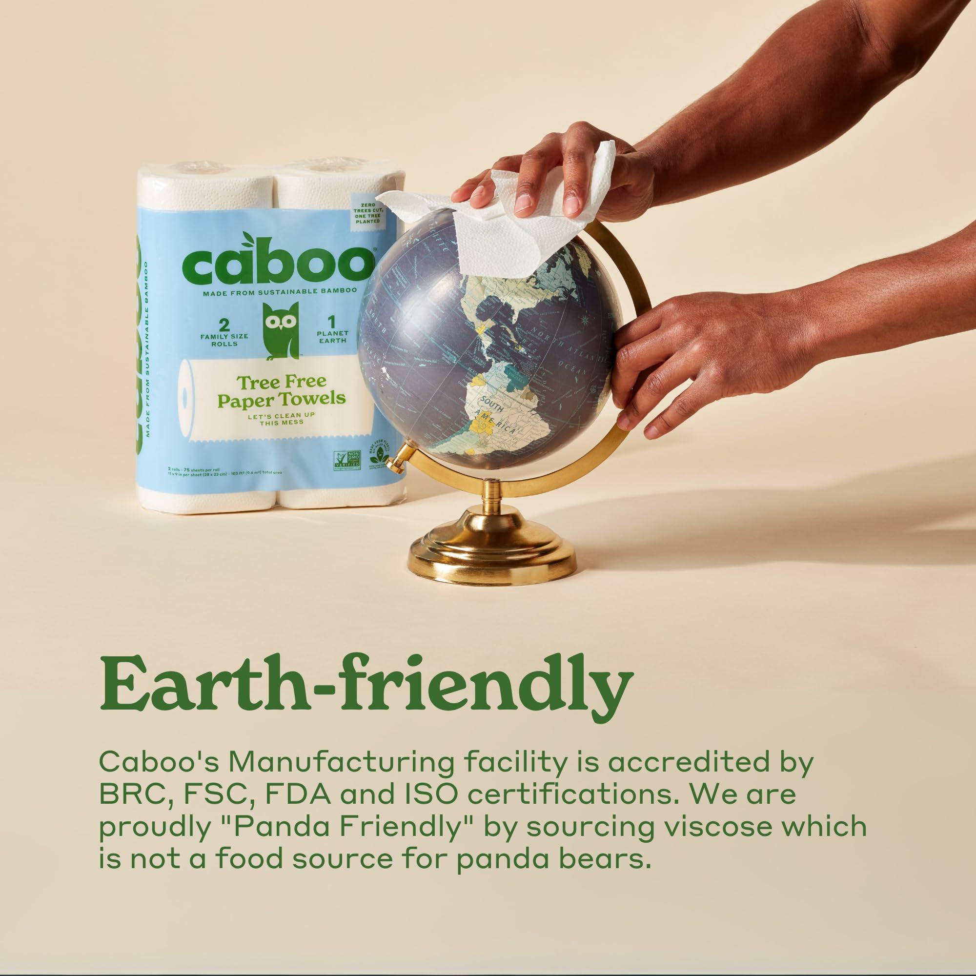 Caboo Tree Free Paper Towels, 6 Rolls, Eco Friendly, Earth Friendly, Sustainable Kitchen Paper Towels with Strong 2 Ply Sheets - Image 7