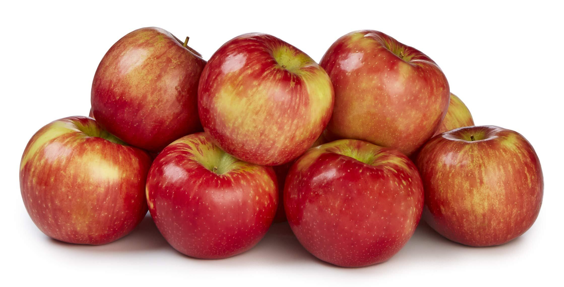 Amazon Fresh Brand, Honeycrisp Apples, 3 Lb - Image 2