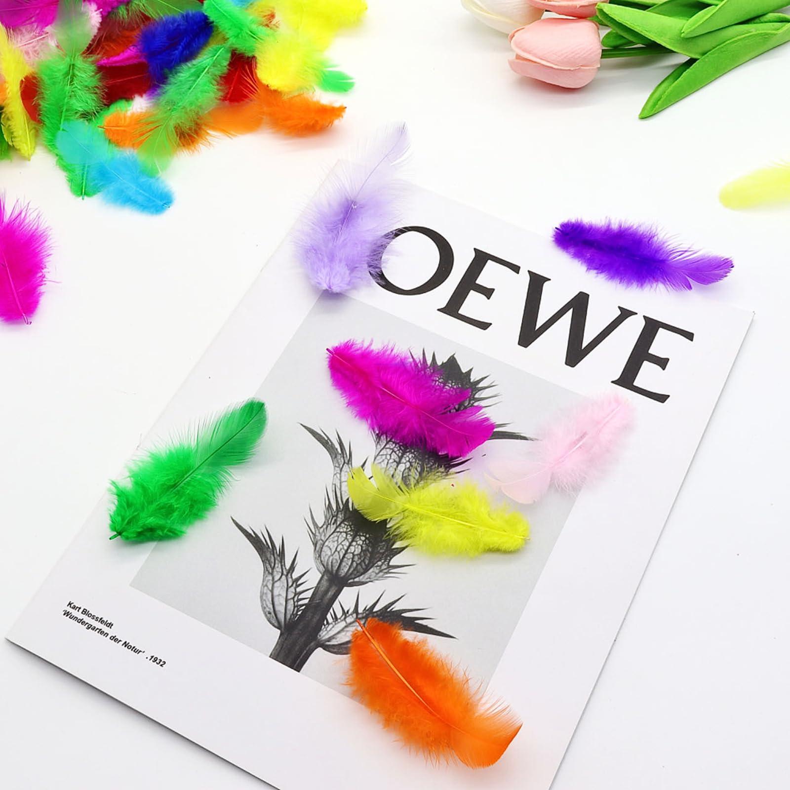 800Pcs Colorful Craft Rooster Feathers 3-5-inch Bulk Feathers for Crafting Kindergarten DIY Crafts, Wedding, Family Party Decorations, Dream Catcher Supplies, Natural Feathers - Image 6