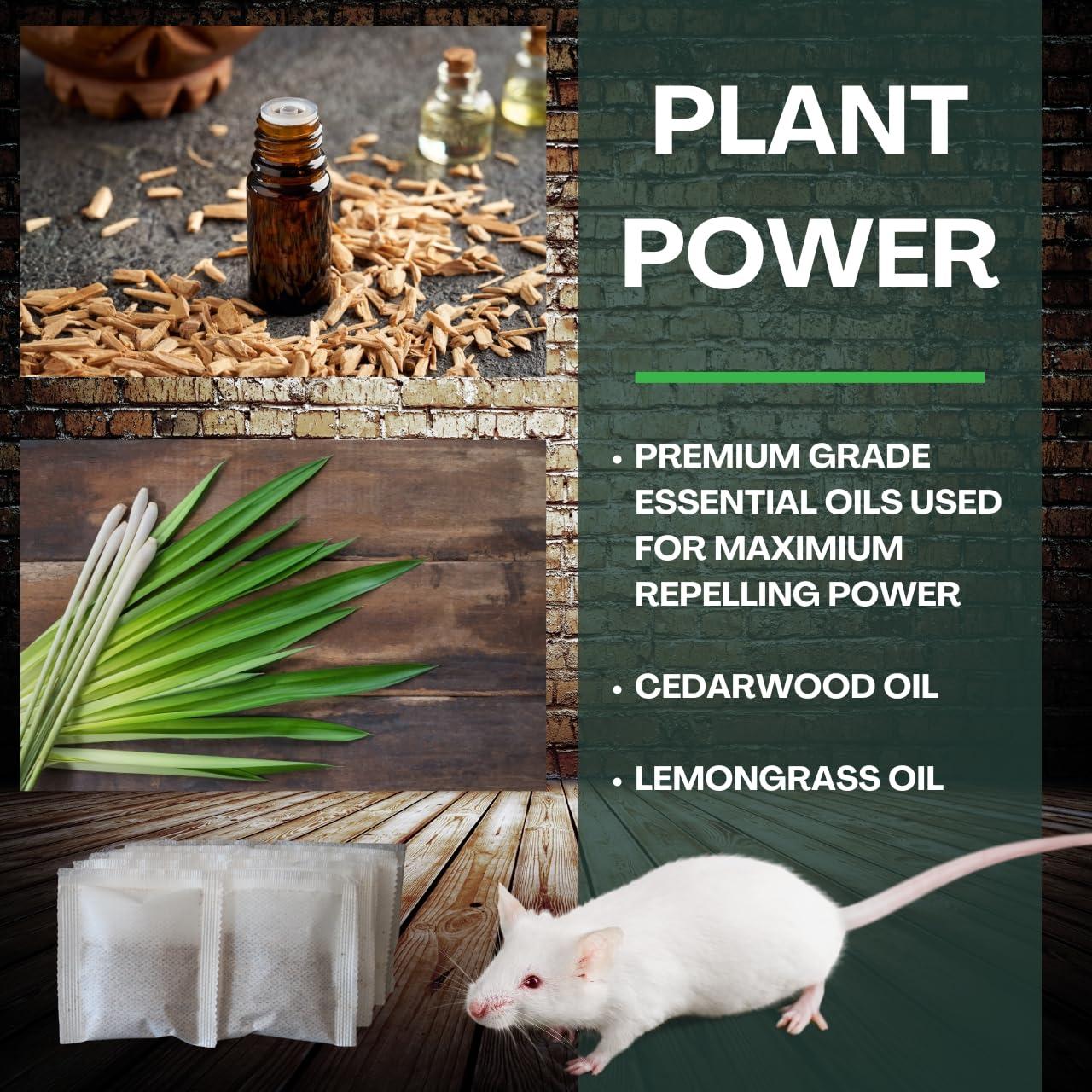 Extra-Strength Mouse Repellent Pouches, 10 Pack Rodent Repellent Indoor for Car Engines/RV/Boat/Cabin/Shed/Garage/House Mice Repellent Indoor, Peppermint Oil Mouse Deterrent (Cedarwood Scent) - Image 5
