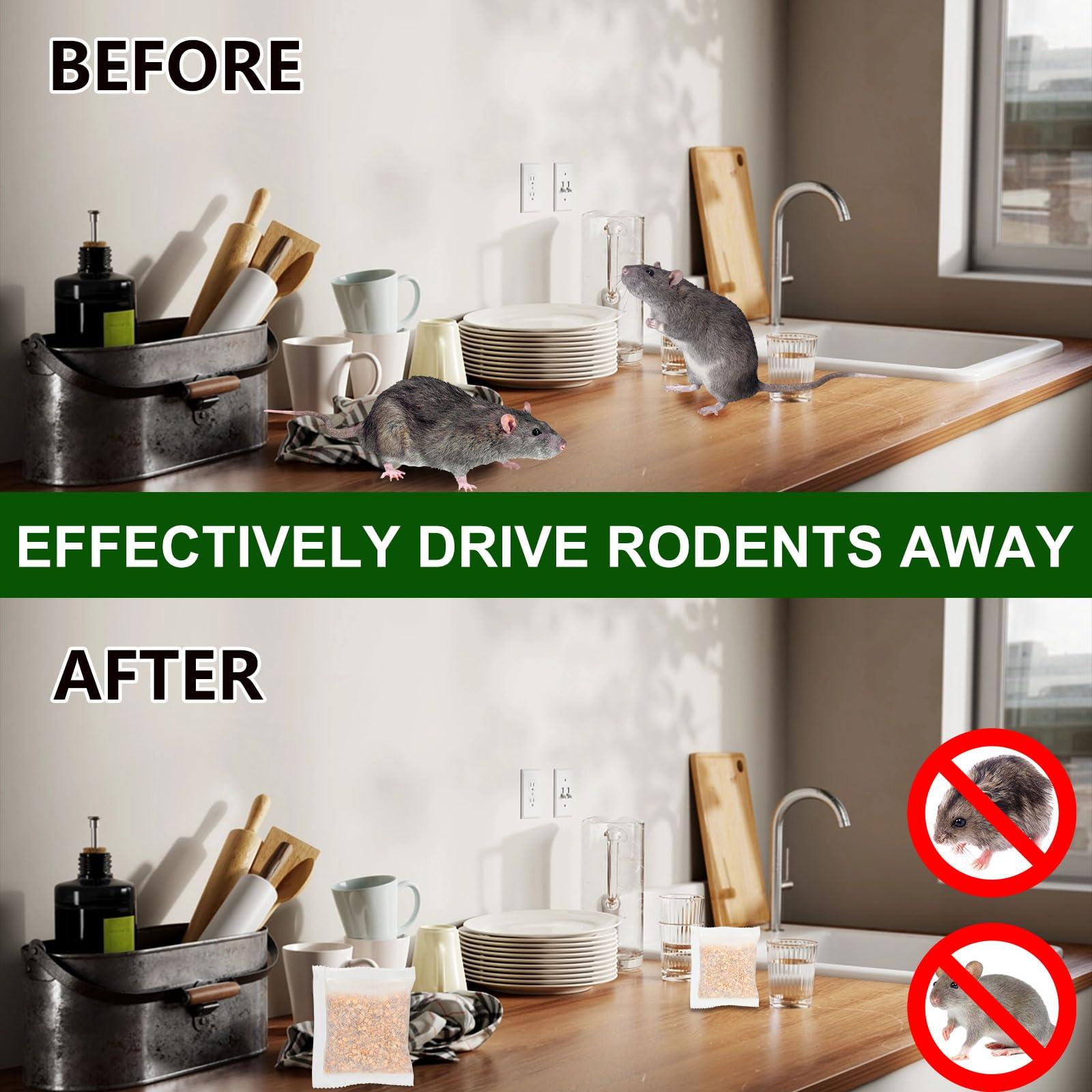 Rodent Repellent, Mouse Repellent Pouches (Pack of 12) - Peppermint Oils Mice Rat Roach Repellent for Outdoor Indoor House Basement RV Garage - Image 4