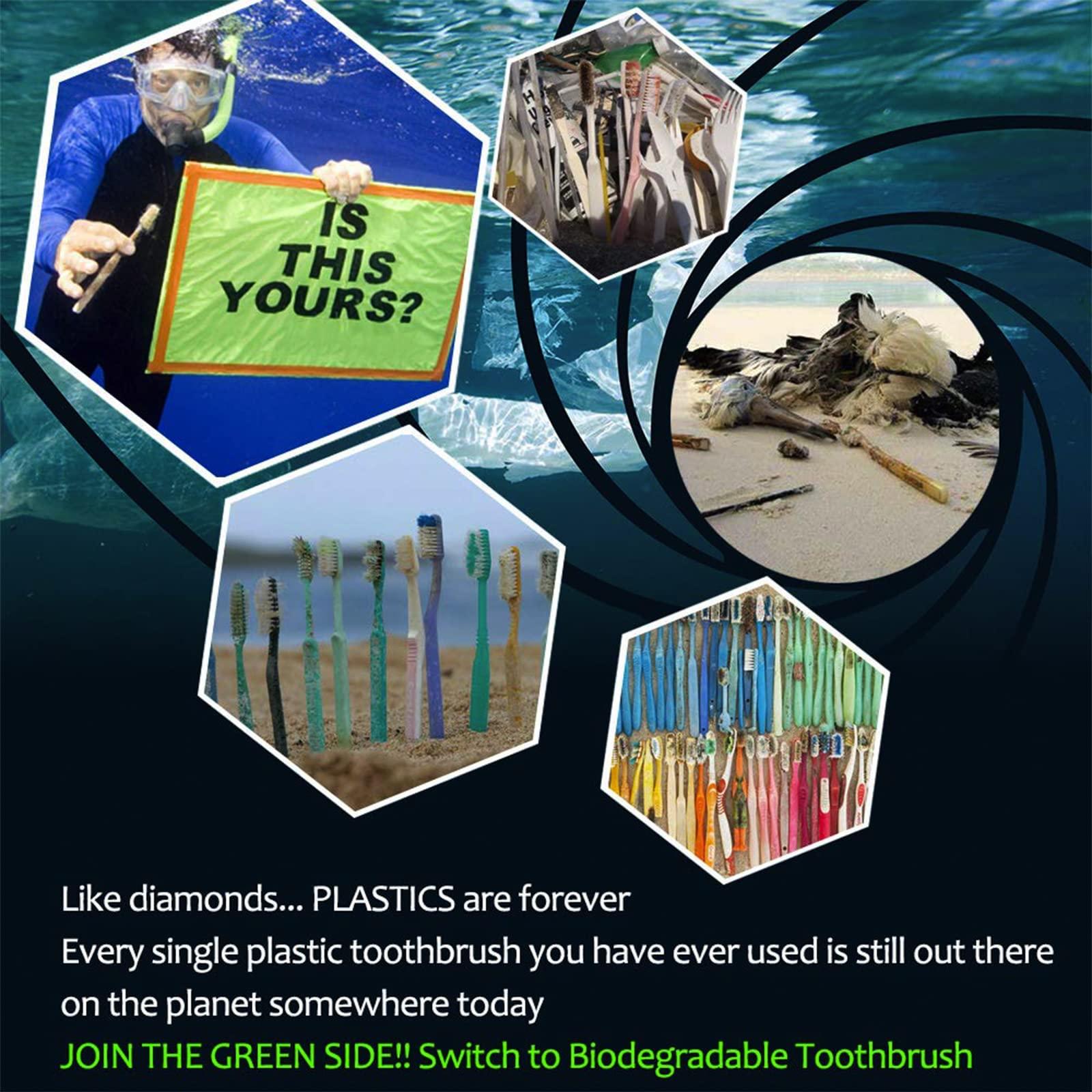 NUDUKO Biodegradable Bamboo Toothbrushes, 10 Piece BPA Free Soft Bristles Toothbrushes, Natural, Eco-Friendly, Green and Compostable - Image 5