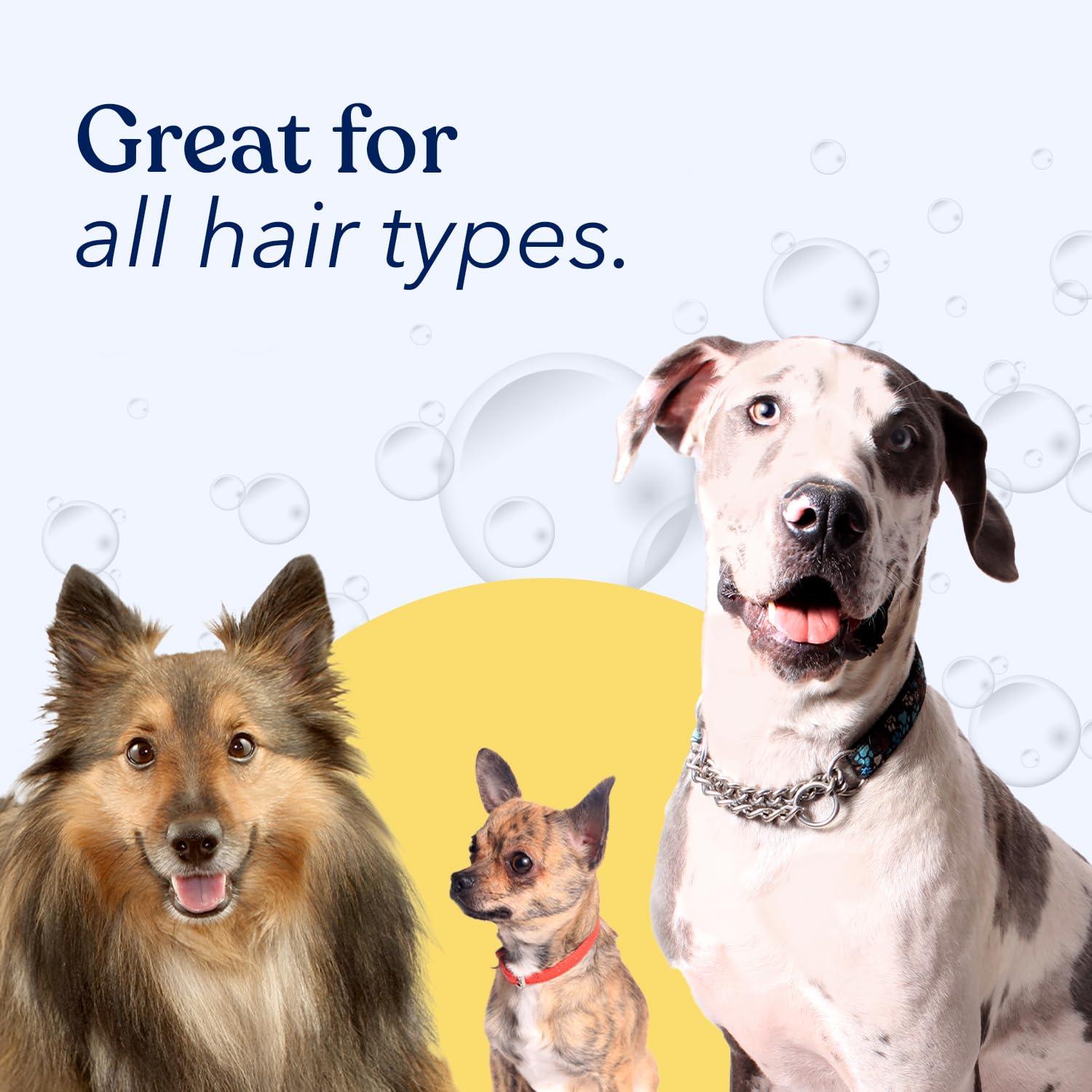 Honest Paws Dog Shampoo and Conditioner - Premium Dog Wash for Allergies and Dry, Itchy, Moisturizing for Sensitive Skin - Sulfate Free, Plant Based, All Natural - Oatmeal & Lavender - 16 Fl Oz - Image 6