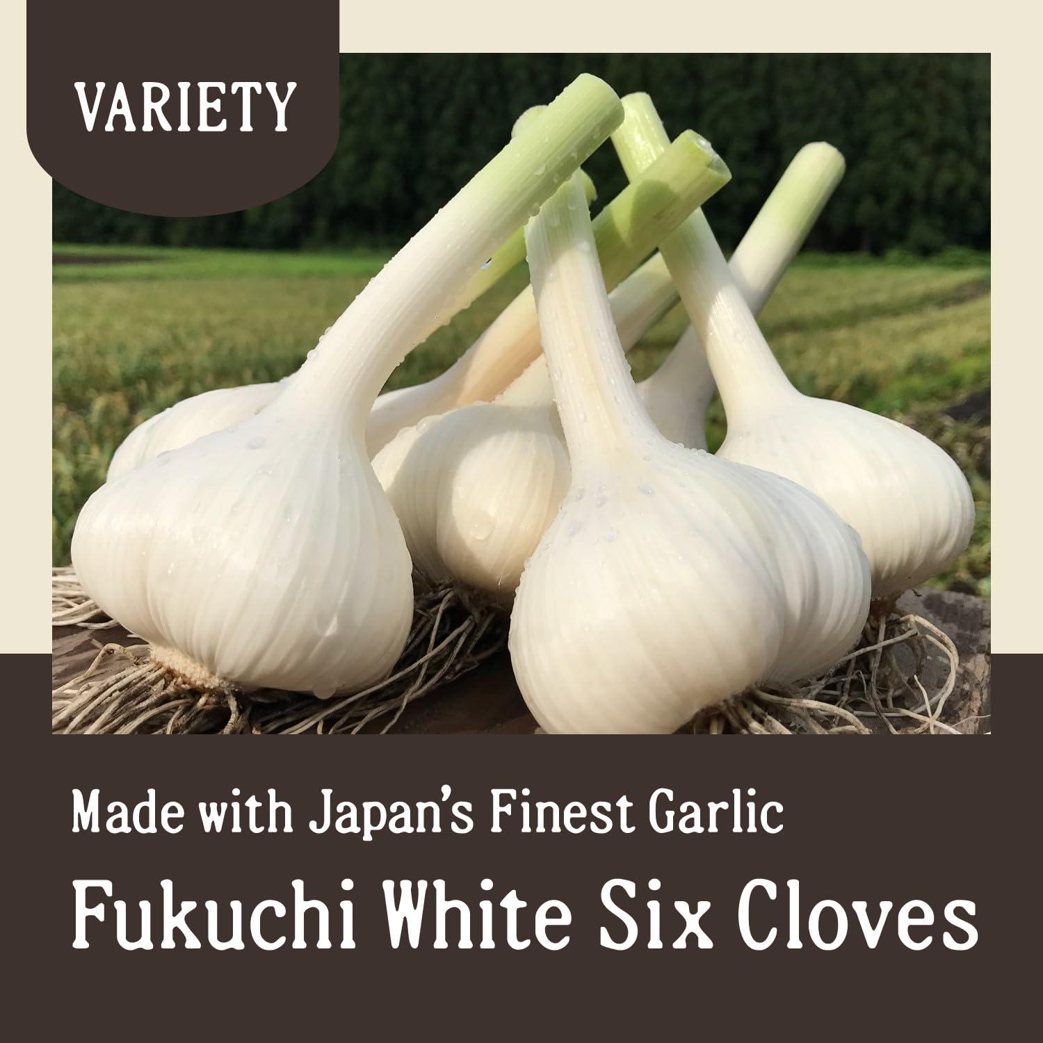 Black Garlic 7 oz (200 g) Japanese Fermented Superfood, Whole Bulbs - Image 6