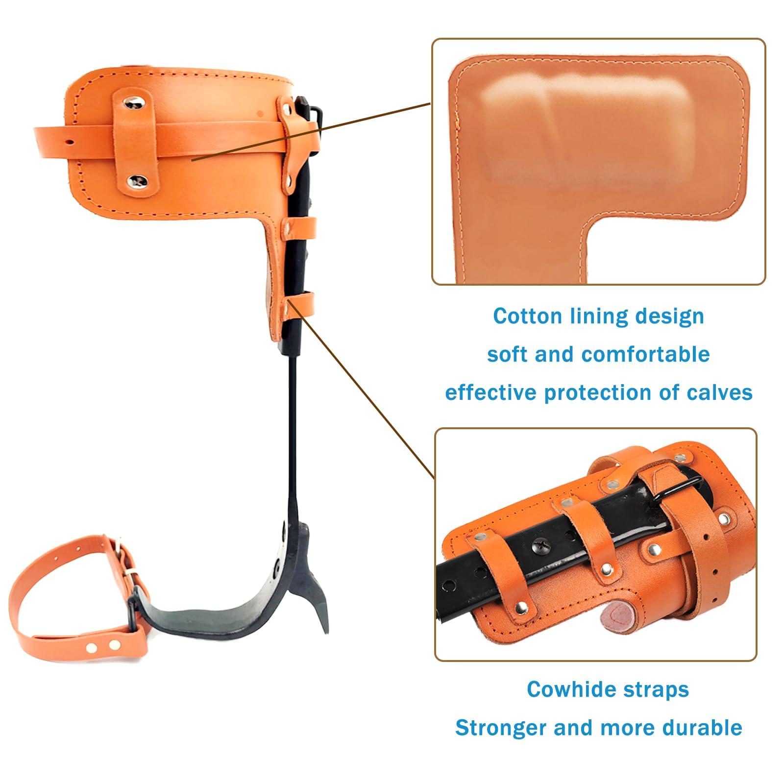 timiland Tree Climbing Spikes Set,Tree Climbing Gear，Rock Climbing Kit with Professional Accessories,Adjustable Length Design,Alloy Steel Pole,Hunting and Observation, for Climb,Fruit Picking - Image 2