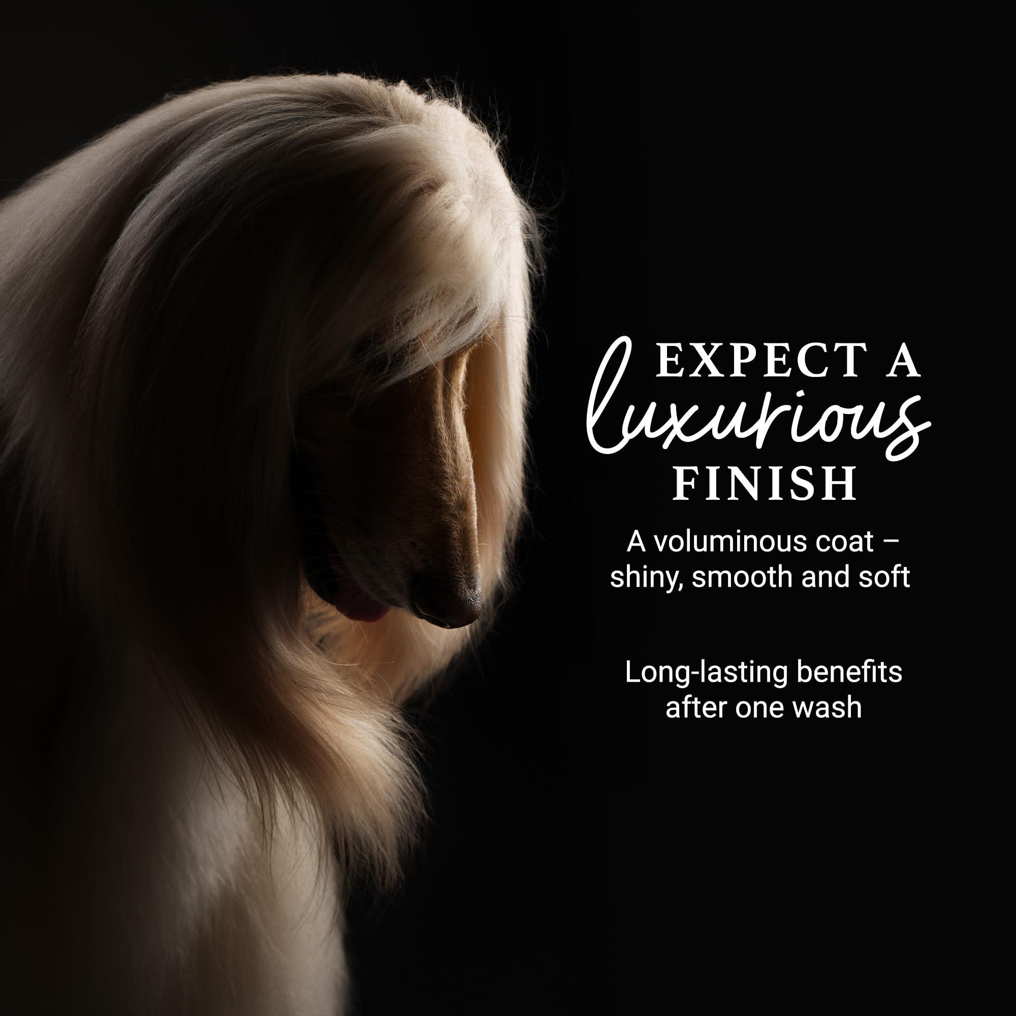 iGroom Deshedding & Detangling Dog Shampoo, Luxury Pet Beauty Care, Loosen Tangles + Unwanted Undercoat, Adds Shine + Volume, Made in USA (1 GAL) - Image 5