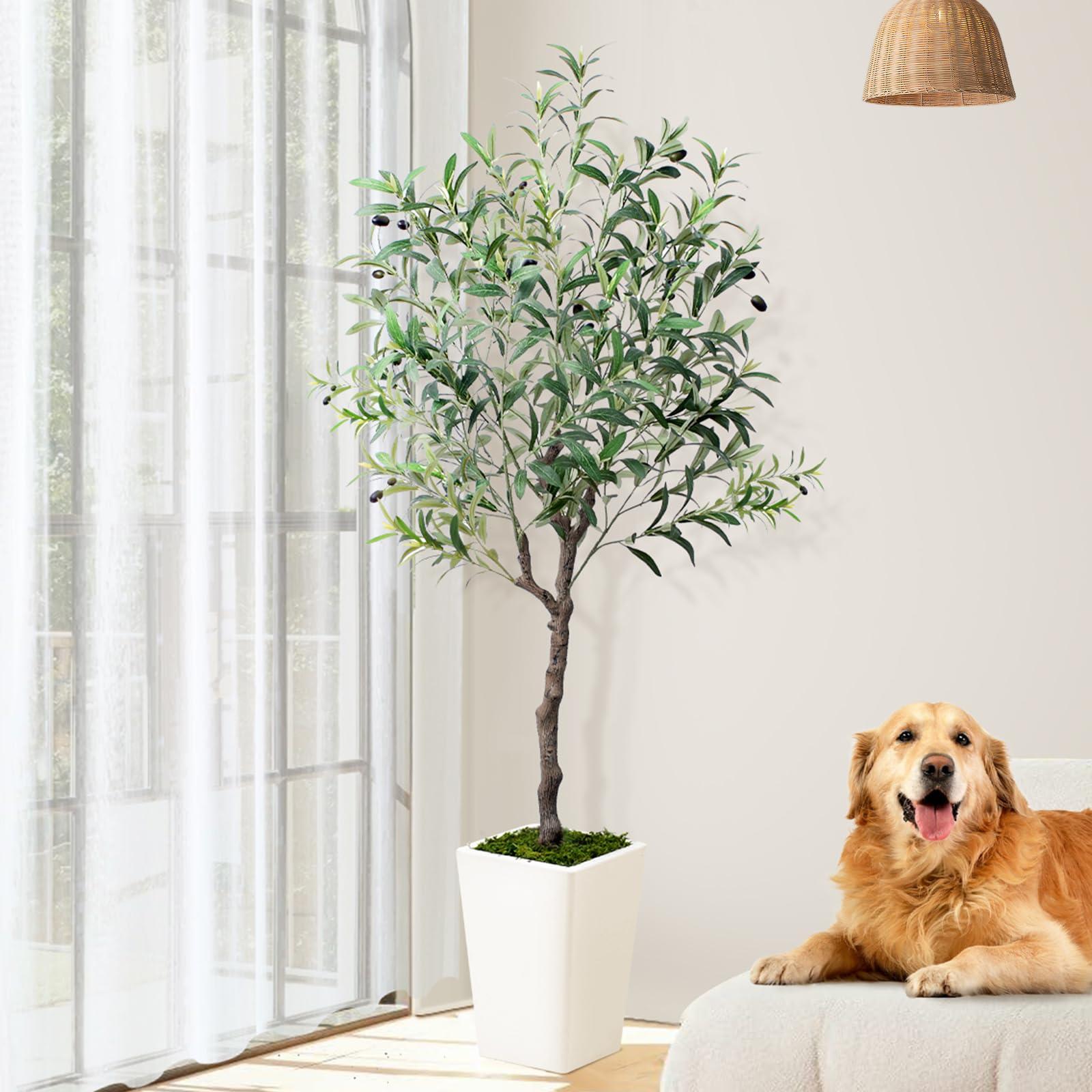 Olive Trees Artificial Indoor 5ft, Tall Faux Silk Plant with Pot, Realistic Leaves and Natural Wood Trunk Fake Trees with Lifelike Fruits for Home Office Decor Bedroom Livingroom Entryway Housewarming - Image 6