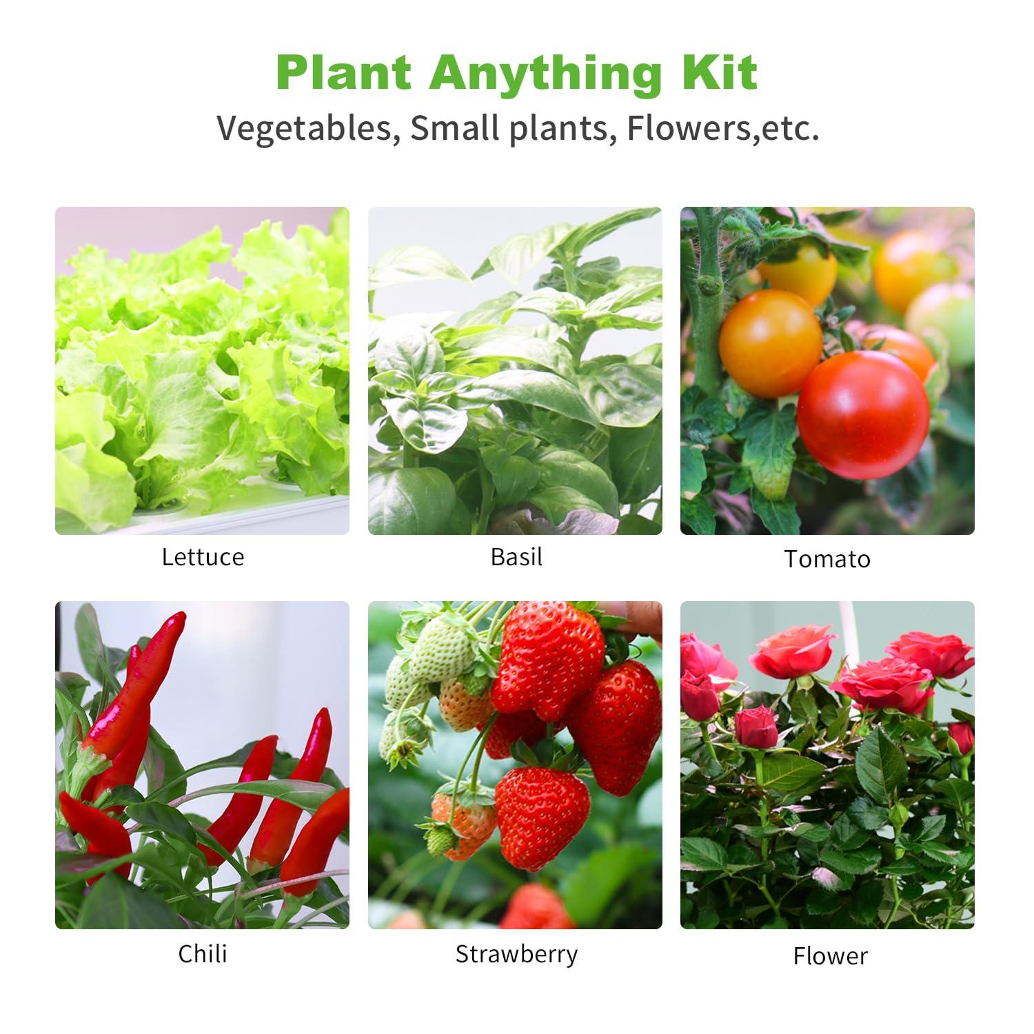 Oliz 50 Pack Hydroponic Grow Baskets with 51PCS Seed Pod Labels Stickers, Replacement Garden DIY Accessories for Most Hydroponic Growing System - Image 7