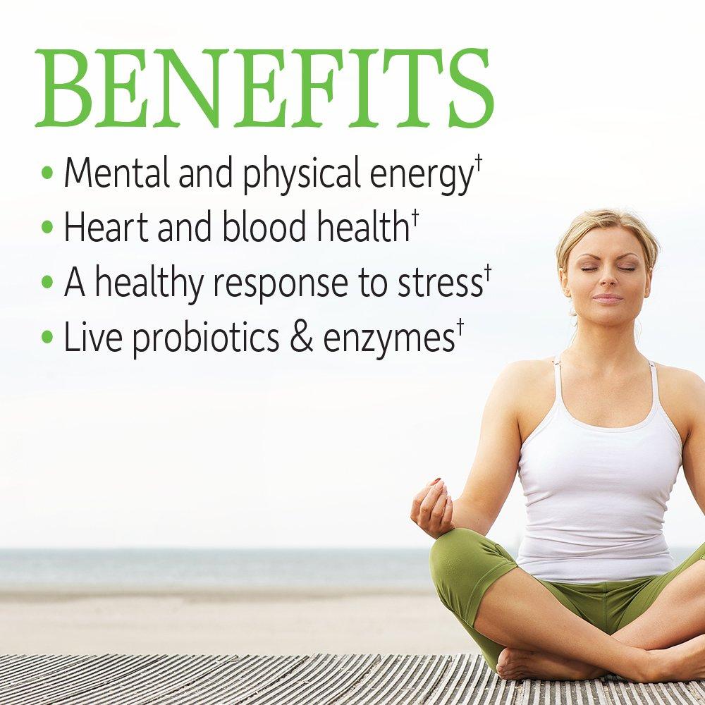 Garden of Life Vitamin B Complex, 120 Vegan Capsules, High Potency Vitamins for Energy & Metabolism with B6, Folate & B12 as Methylcobalamin Plus Probiotics - Image 2