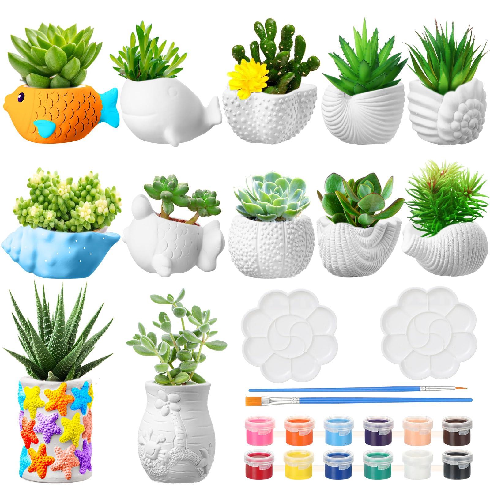 Hushee 12 Sets Ceramic Succulent Planters Paintable Succulent Plant Pots Small DIY Figurines Unpainted Pots with Drainage Hole Color Paints Paintbrushes Palettes(Sea Animals)