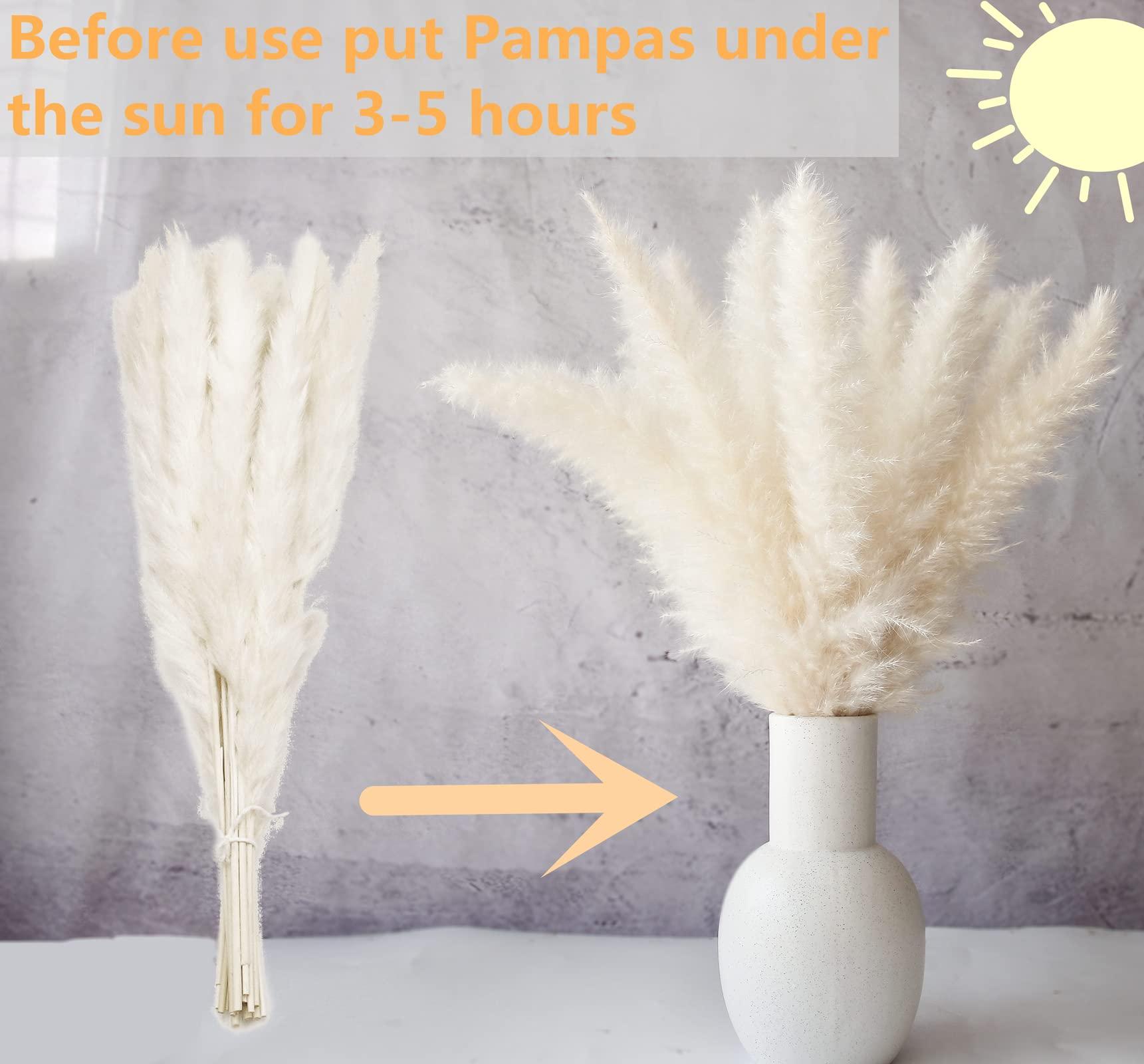 110 PCS Dried Pampas Grass Bouquet, Boho Table Decor, Bunny Tails Dried Flowers, Brown Pompas, White Pampas Grass for Wedding, Home, Rustic Party, Baby Shower Decorations - Image 4