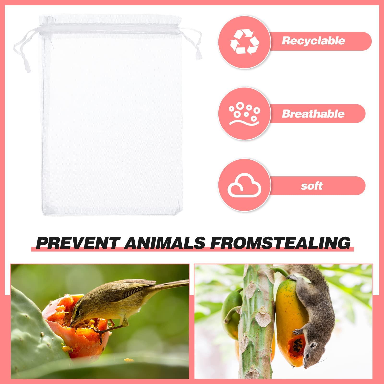 100 Pcs Fruit Protection Bags, Netting Bags for Trees & Garden - 5 x 7 Inch Mesh with Drawstring, Protects Fruit, Flowers & Vegetables (White) - Image 4