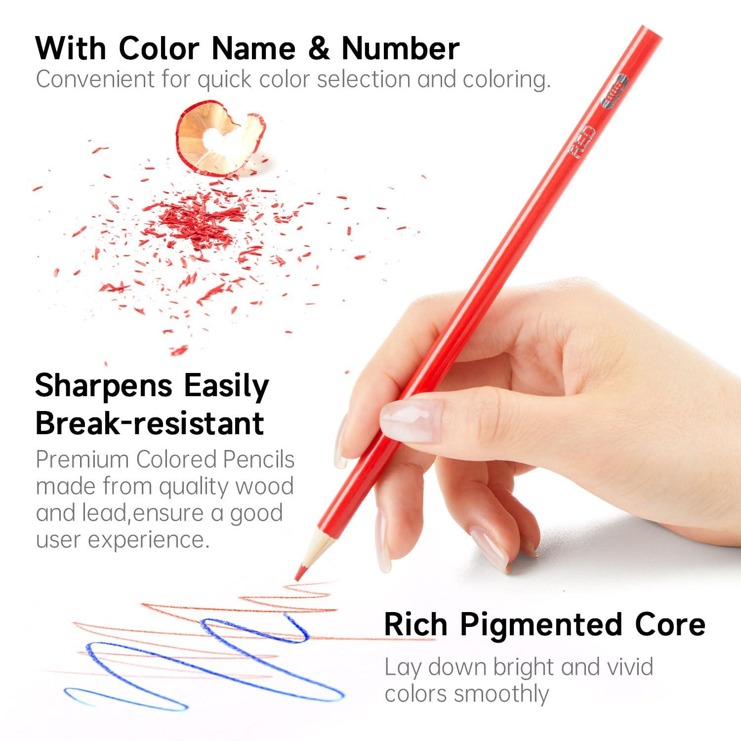 Shuttle Art Colored Pencils Bulk, 408 Pack Coloring Pencil Set Plus 20 Sharpeners, 12 Assorted Colors, Classroom Pack School Supplies - Image 4