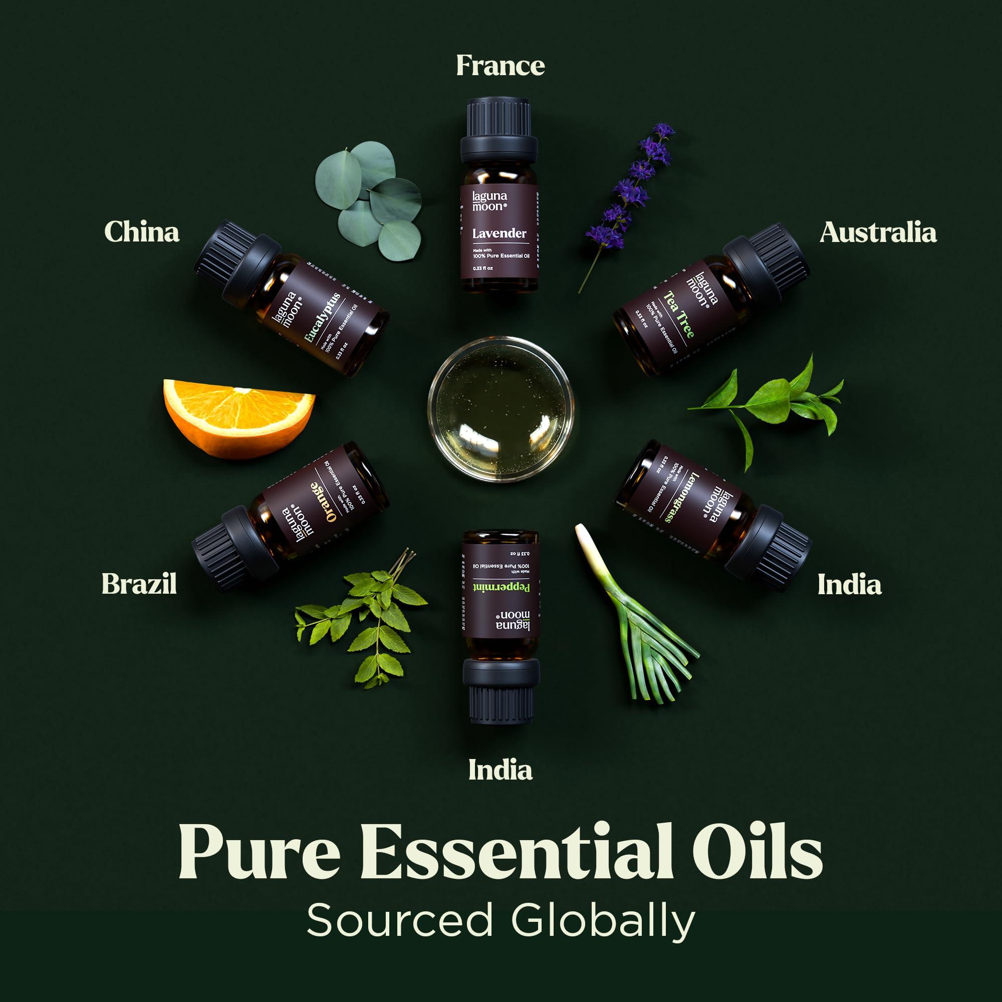 Essential Oils Set - Top 6 Blends for Diffusers, Home Care, Candle Making Scents, Fragrance, Aromatherapy, Humidifiers, Gifts - Peppermint, Tea Tree, Lavender, Eucalyptus, Lemongrass, Orange (10mL) - Image 2