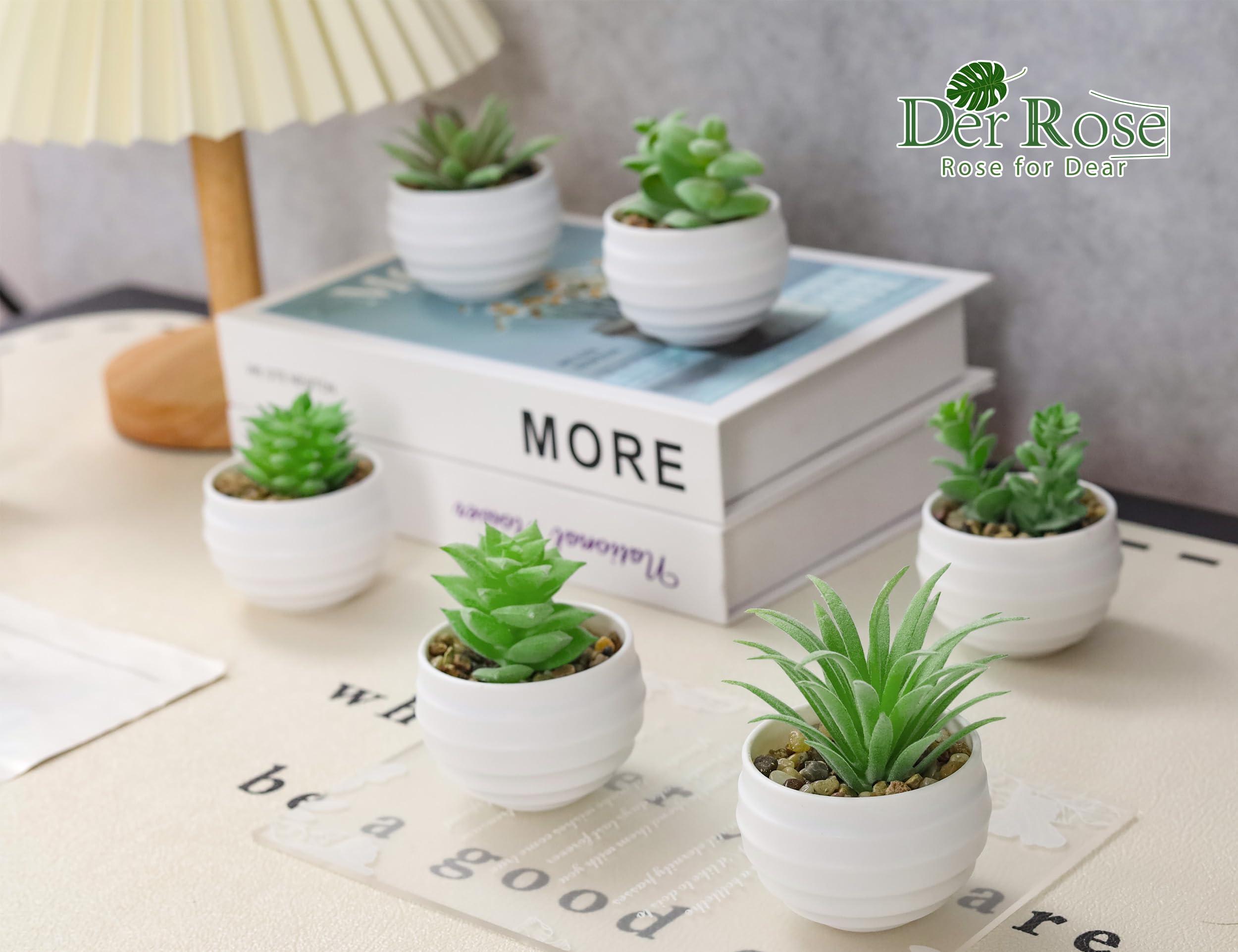 Der Rose Set of 6 Succulents Plants Artificial in Pots Small Fake Plants for Bedroom Aesthetic Living Room Office Shelf Bathroom Decor - Image 6