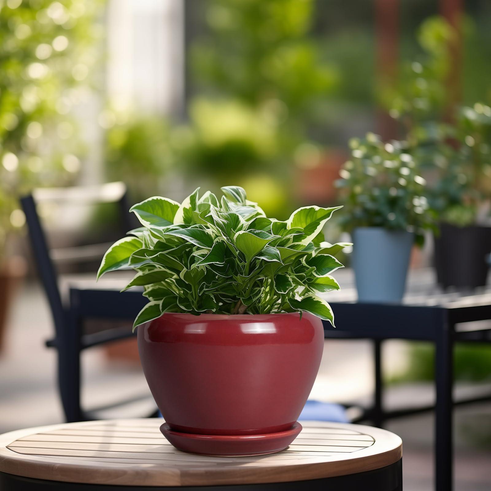 Ceramicfor Ceramic Pot for Plants - 6 Inch Plant Pot Indoor with Drainage Hole and Saucer Succulent Outdoor Planter Round Flower Pot for House Patio Decor Red - Image 4