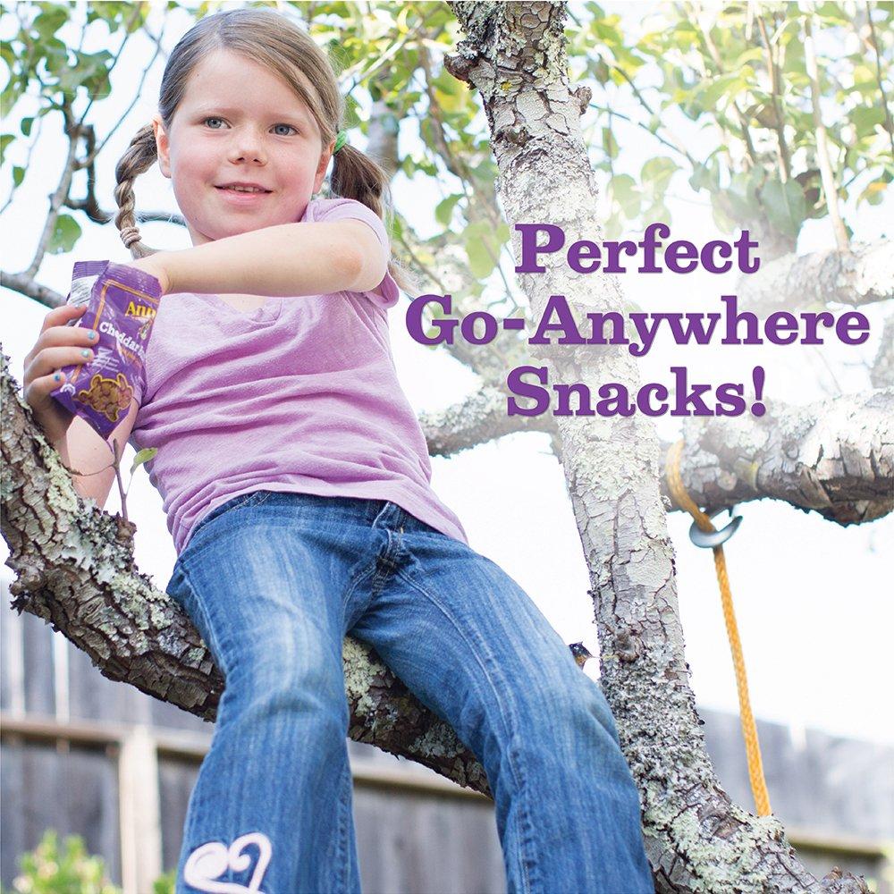 Annie's Snack Pack Variety Cheddar Bunnies/Friends Bunny Grahams/Cheddar Squares Crackers 12 ct 11 oz - Image 7