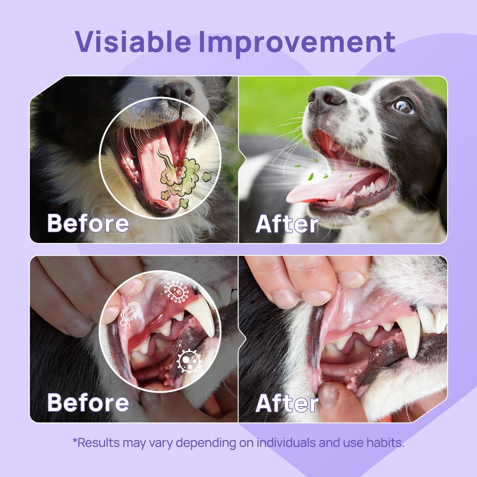 HICC PET Oral Care Spray for Dogs and Cats, Pet Breath Dental Care Spray, Dog Gingivitis Treatment, Fight Bad Breath Caused by Plaque and Gum Redness, Dog Tooth Brushing Kit, 5.1 Fl Oz - Image 3