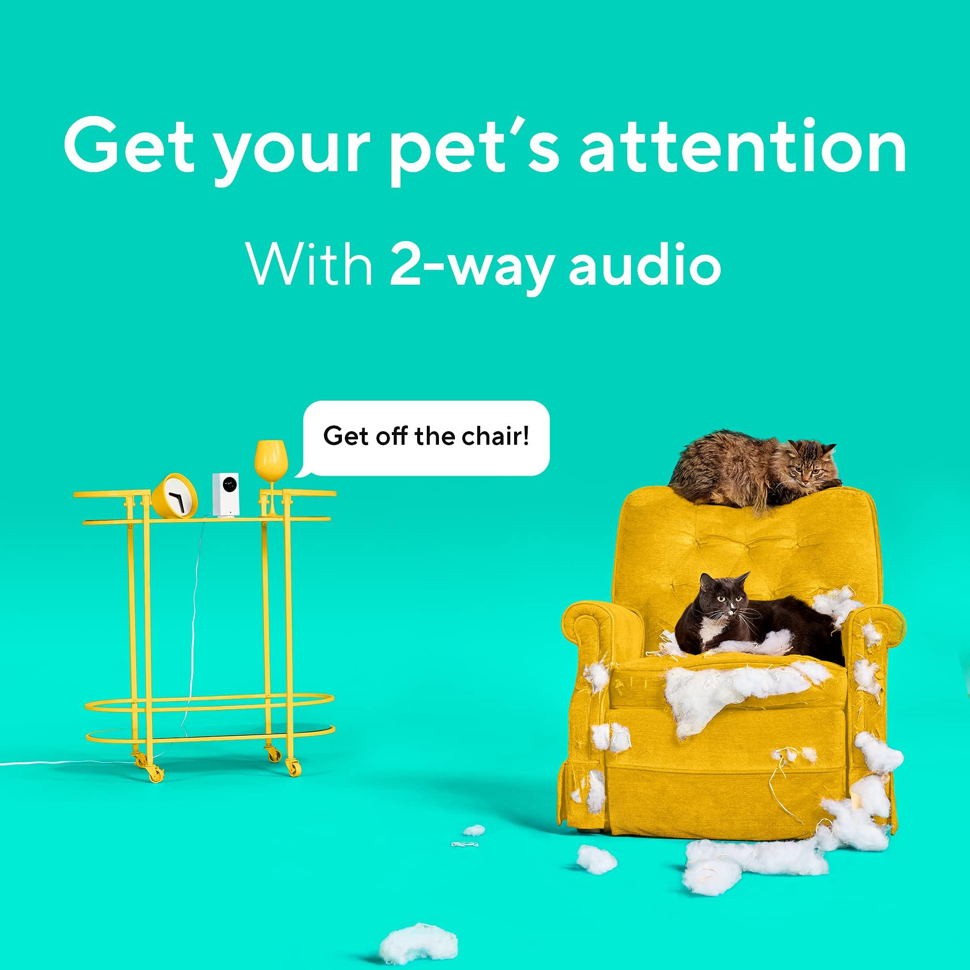 Wyze Cam Pan v2 360° Pet Camera with Phone App PTZ Indoor Smart Security Camera for Dog Cat Baby Elderly Monitoring, 2-Pack - Image 6